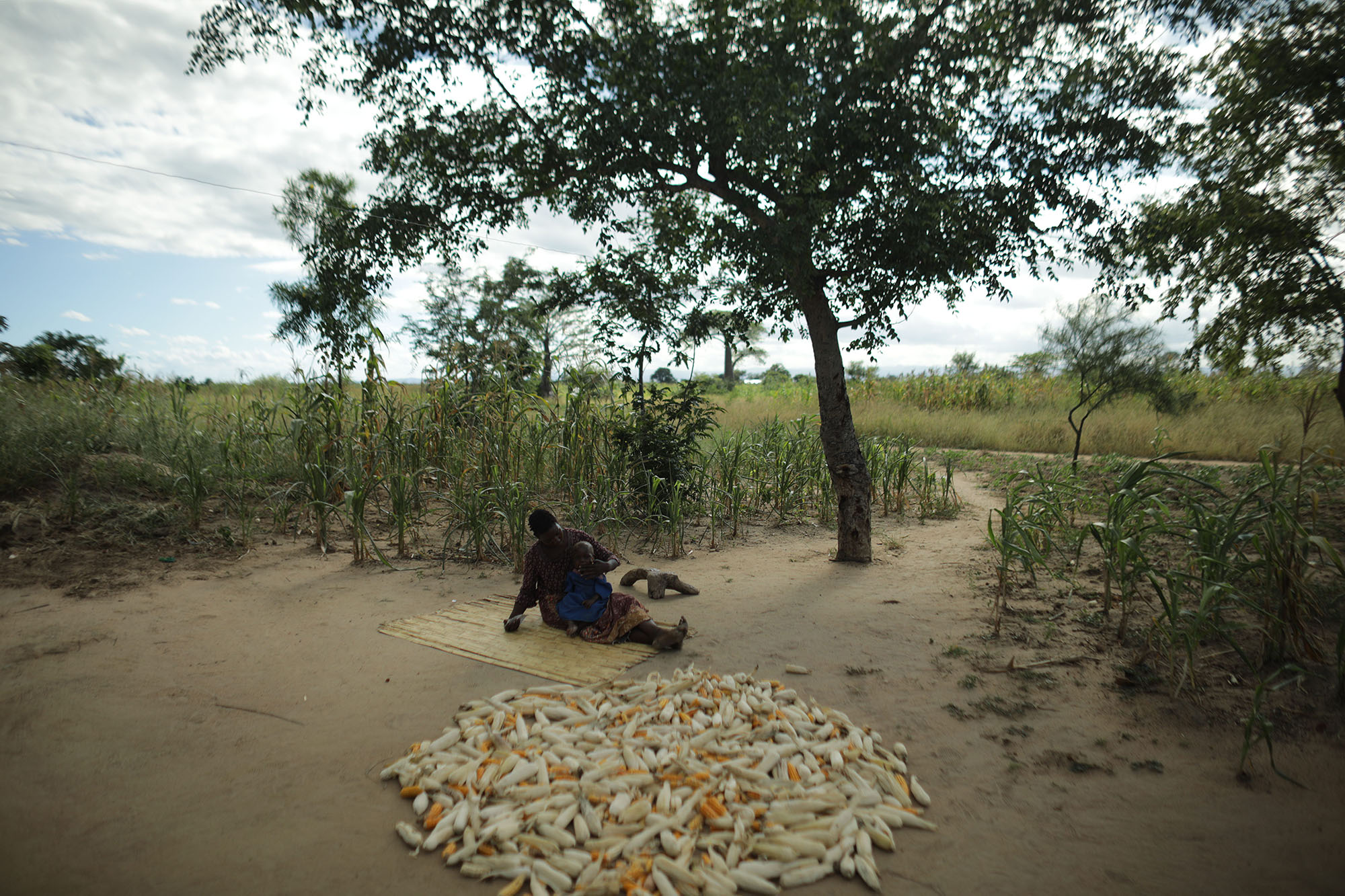  &nbsp;Mariam Chinguwo feeds plump nut to her daughter, Maness. Photo by Josh Estey.&nbsp; 