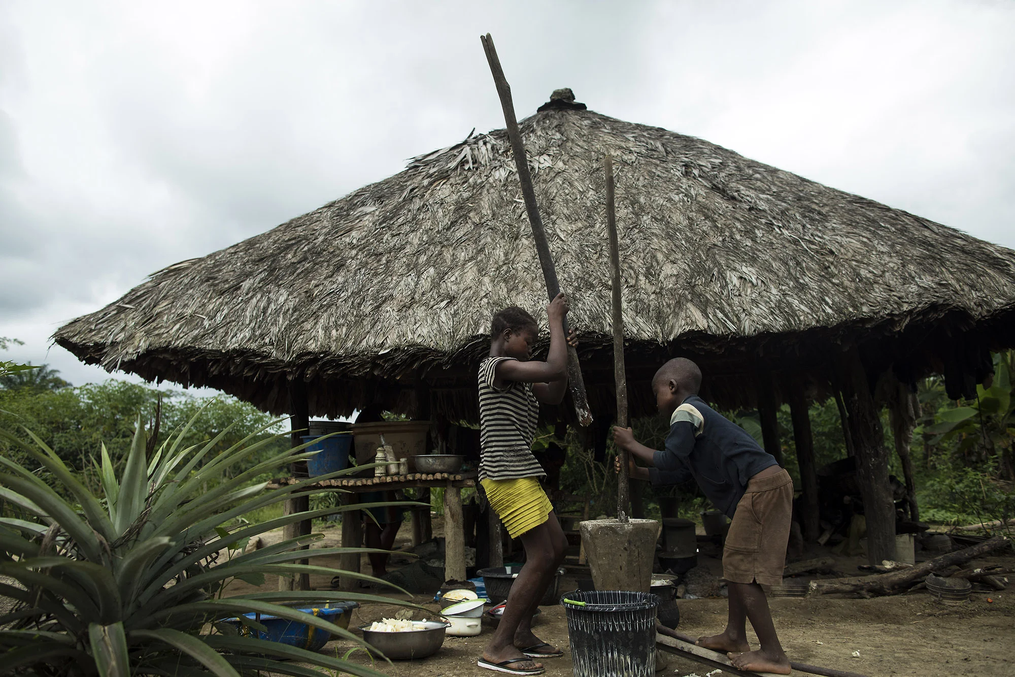 BLAYAH TOWN, LIBERIA: Aug. 30, 2017 - Family of Garmondah Banwon, an elder in the Jogbahn Clan, beat cassava in front of the family's kitchen in Blayah Town. The Jogbahn Clan fought against the British-owned company Equatorial Palm Oil (EPO) when they tried to take over their land in 2013. The people in the community depend on the land for their livelihoods. The Sustainable Development Institute (SDI) started to help the community by submitting a formal complaint to the to the Roundtable on Sustainable Palm Oil (RSPO). SDI taught the clan about land rights and resisting with non-violence. THE RSPO determined that the land EPO was using belonged to the clan. SGI trained the community how to map their land and boundaries were created that EPO accepted not to cross.