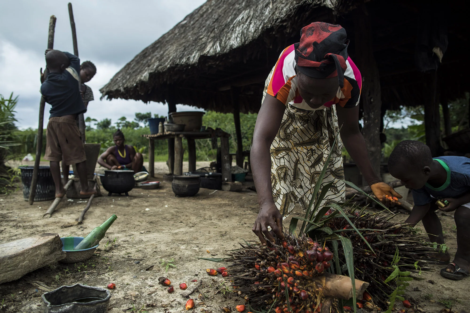 A woman eats fruit from a palm tree while in front of Garmondah Banwon's kitchen. Banwon is an elder in the Jogbahn Clan. The Jogbahn Clan fought against the British-owned company Equatorial Palm Oil (EPO) when they tried to take over their land in 2013. The people in the community depend on the land for their livelihoods. The Sustainable Development Institute (SDI) started to help the community by submitting a formal complaint to the to the Roundtable on Sustainable Palm Oil (RSPO). SDI taught the clan about land rights and resisting with non-violence. THE RSPO determined that the land EPO was using belonged to the clan. SGI trained the community how to map their land and boundaries were created that EPO accepted not to cross.
