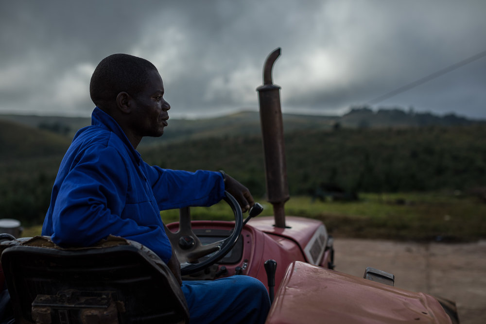 Raymond Nthala, a worker at Kawandama Hills Plantation (KHP)