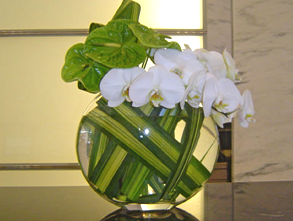 2white orchids.png