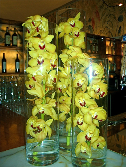 15yellow orchid.jpg