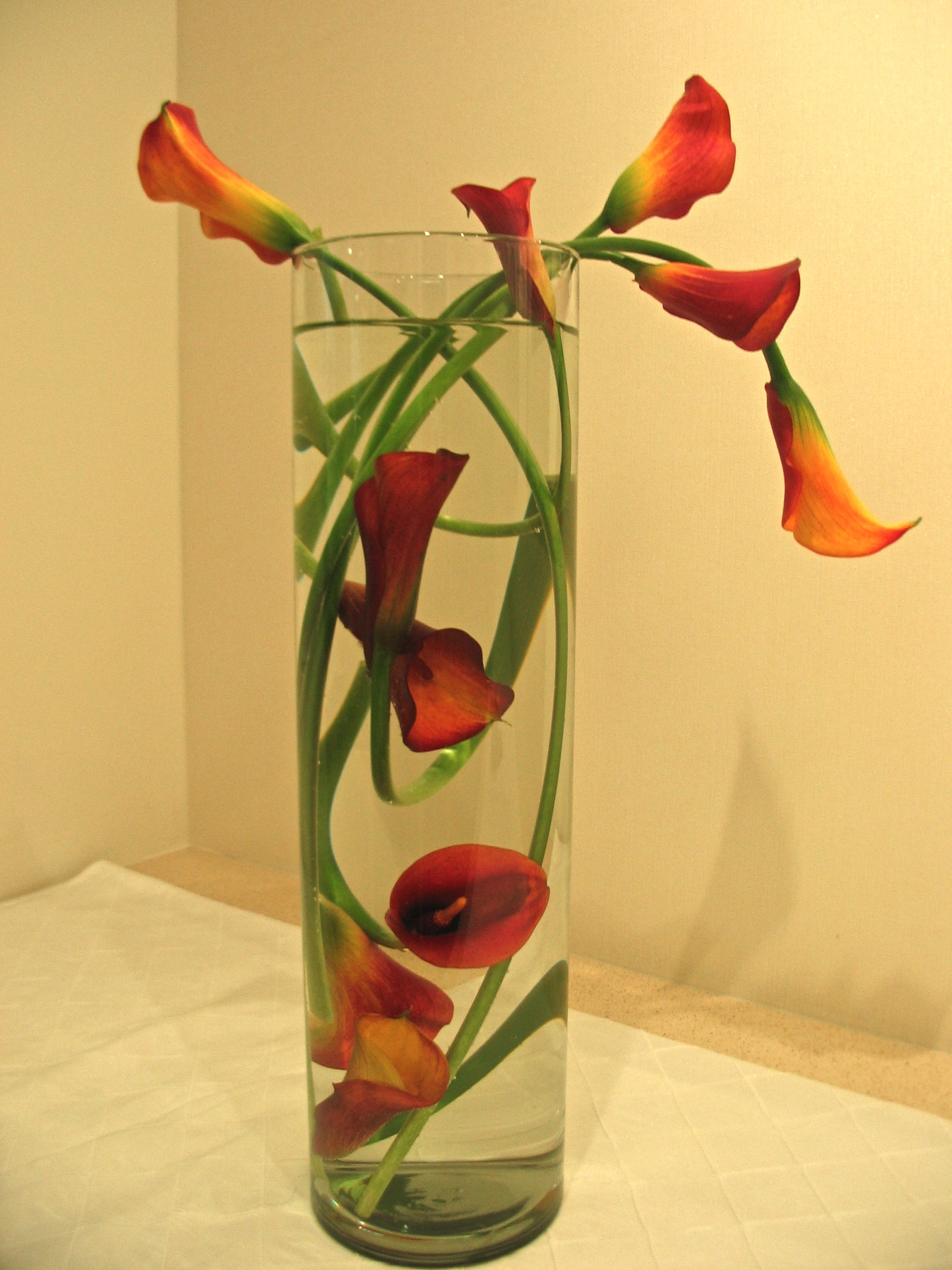 9floating orange calla.JPG