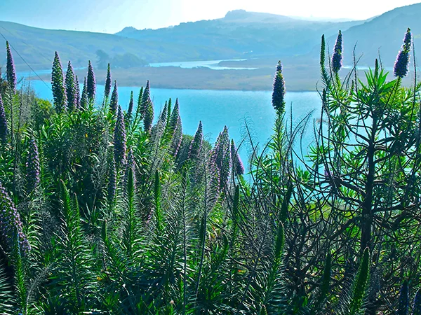 P2031680.jpg