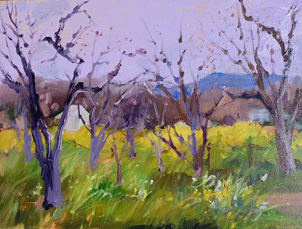 Springs Mustards and Fruit Trees