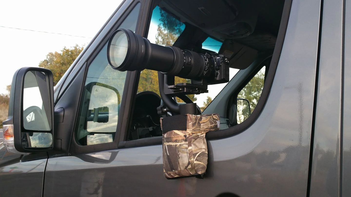 Photographer Francesca Scalpi will be demonstrating equipment used to capture birds in flight.