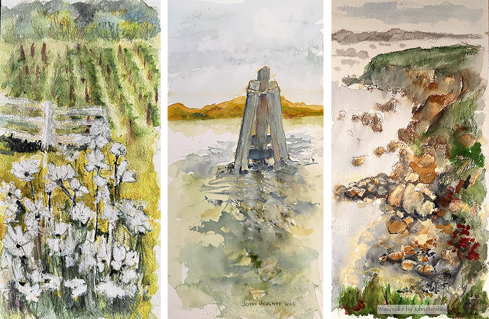Triptych: Sonoma County Vineyards, Bay, and Coast watercolor