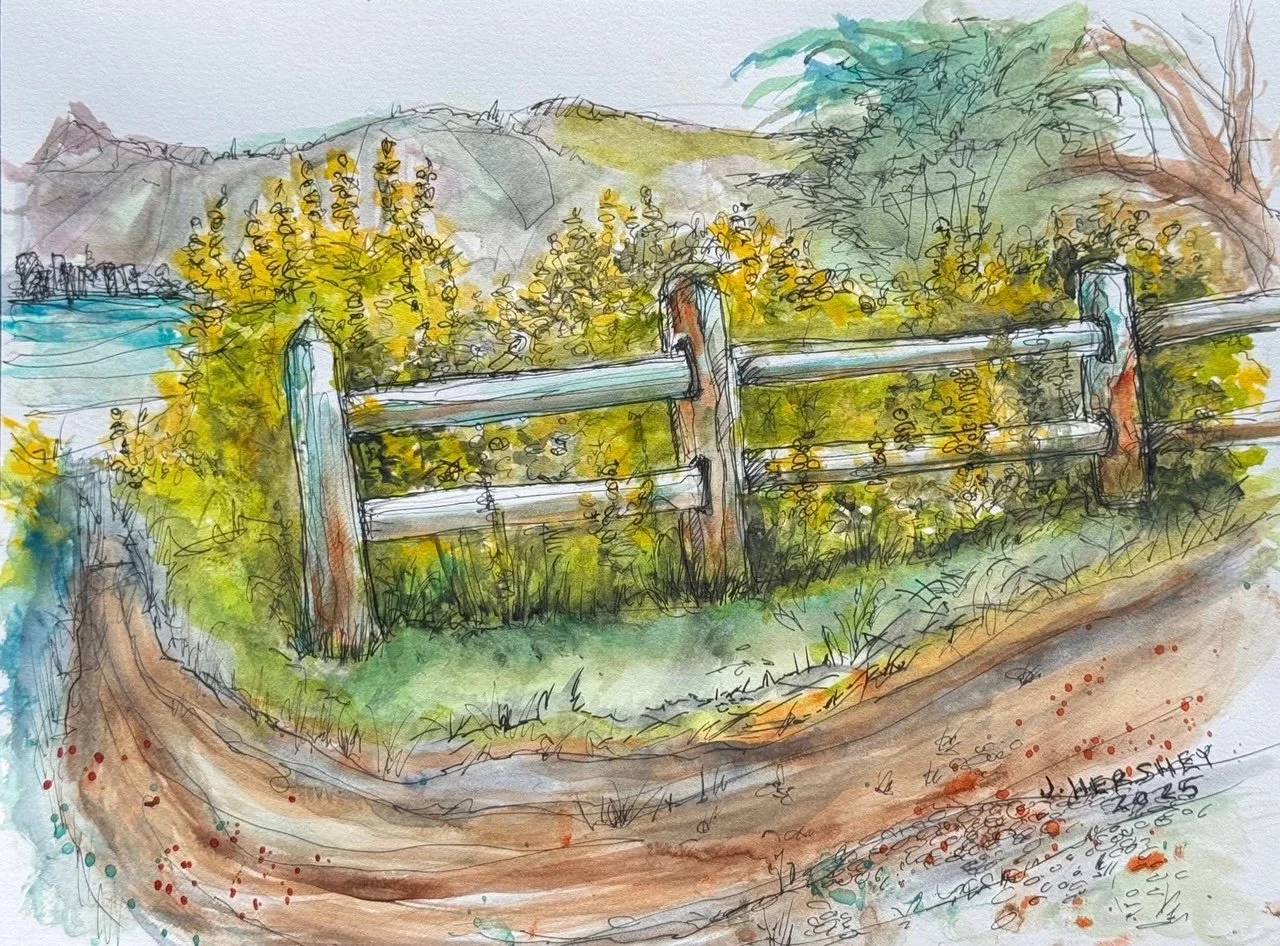 Lupin at Doran Beach Park watercolor