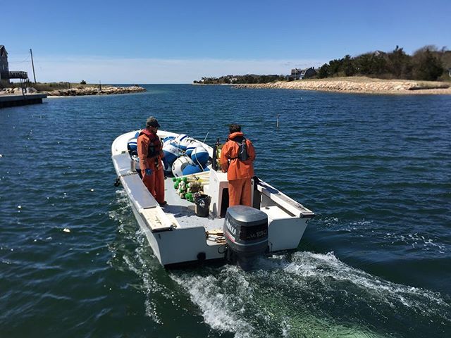 As of last week all moorings are in and ready for the season!

#mooringboat #mooringservice #capecodboating #springboating #baymarineandmooring #campbellsboatworks #boating #wildharbor