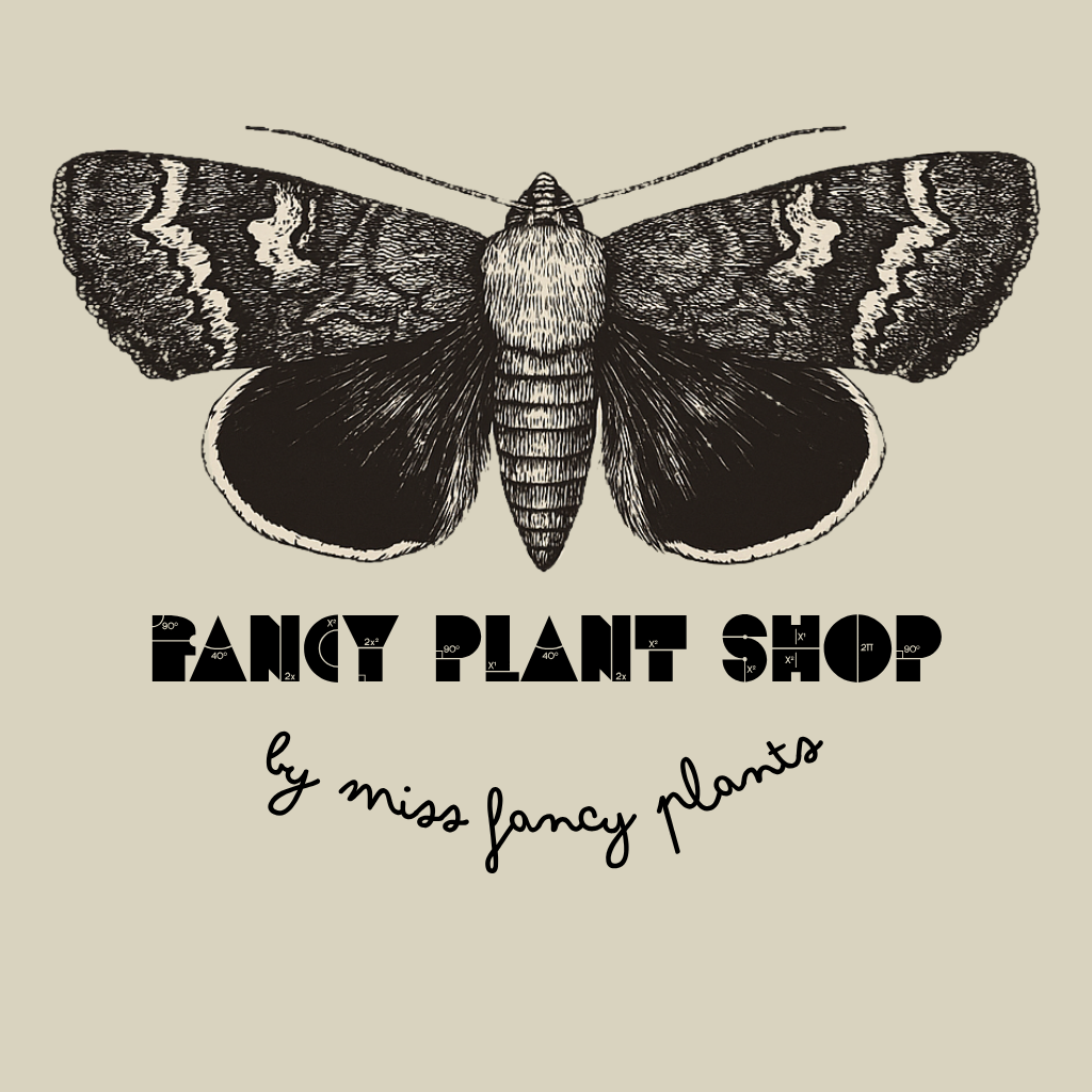 FANCY PLANT SHOP 