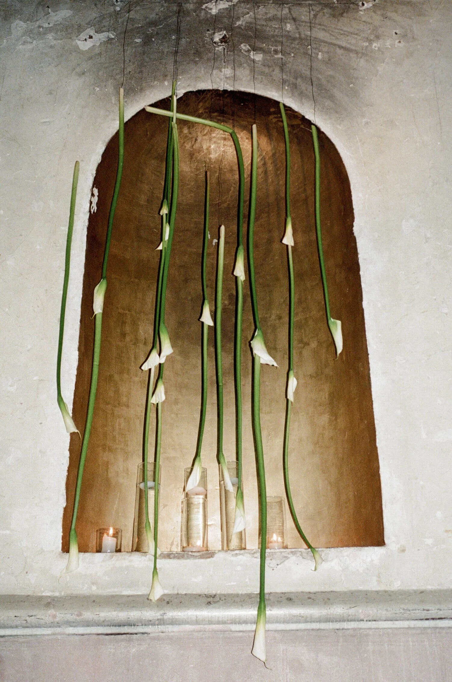 film wedding photographer mexico city proyectos publicos prim cdmx ciudad de mexico