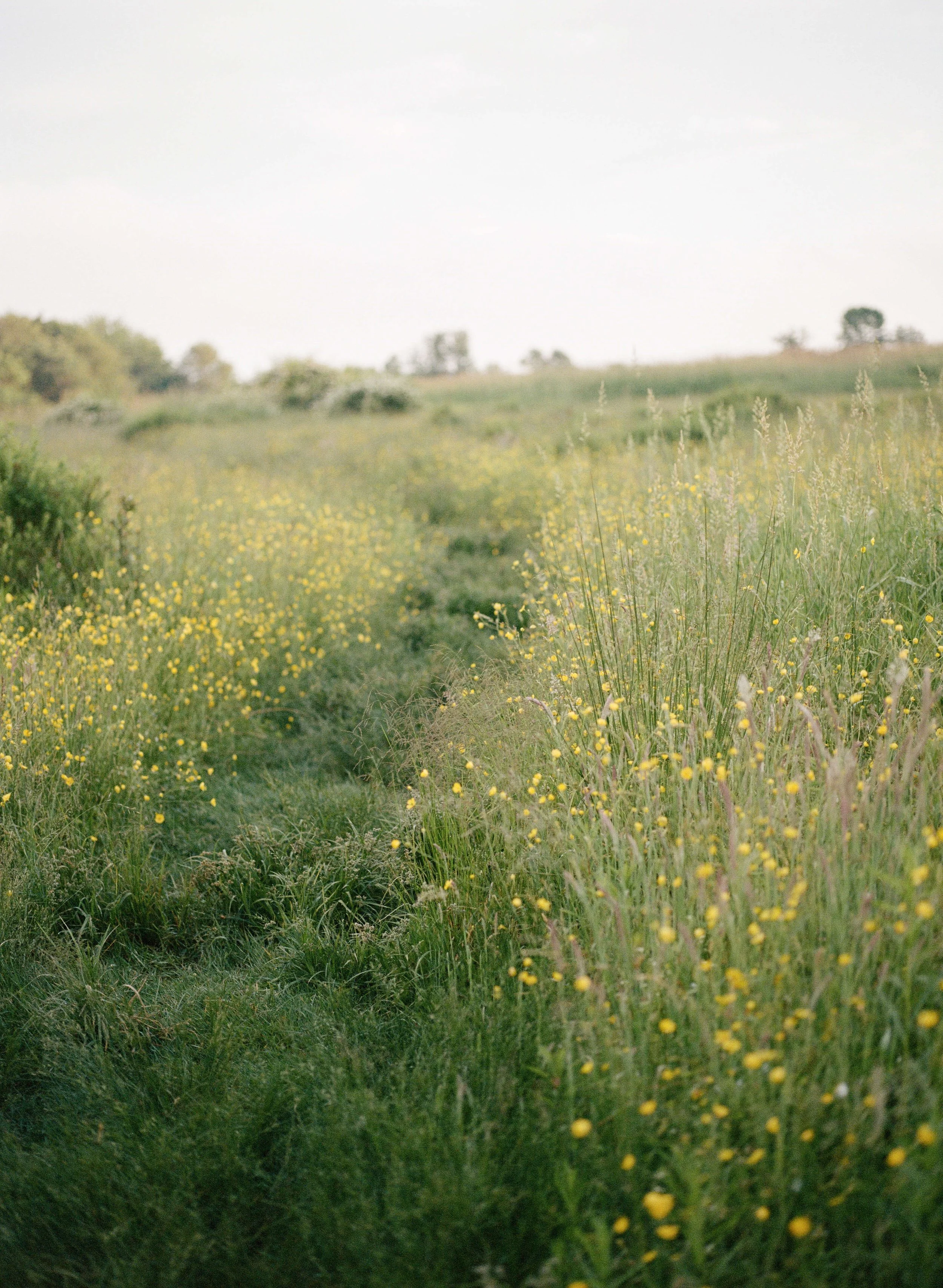 hudson valley film wedding photographer catskills inness
