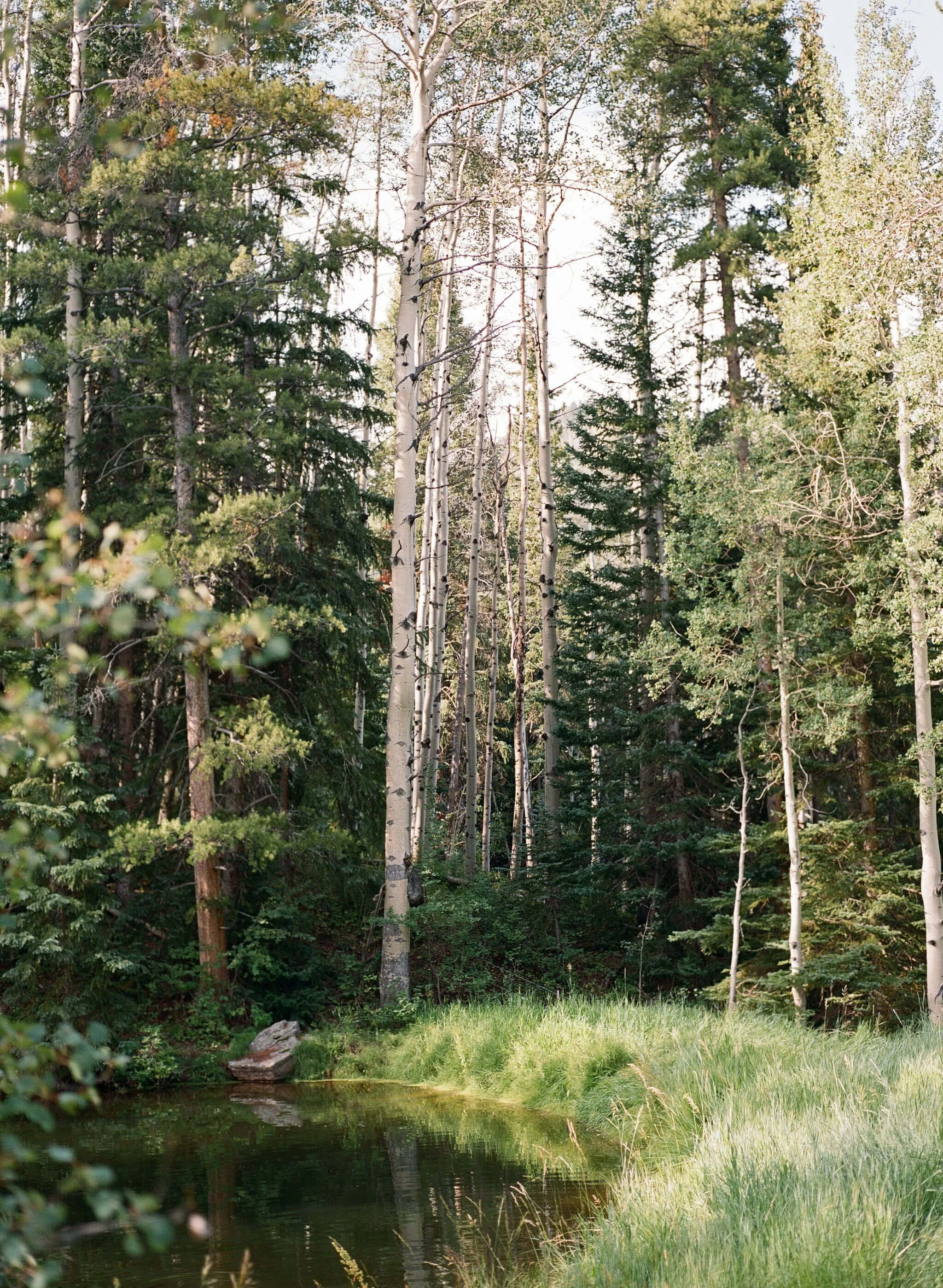 Eaton Ranch Aspen Colorado Candid Film Wedding Photographer