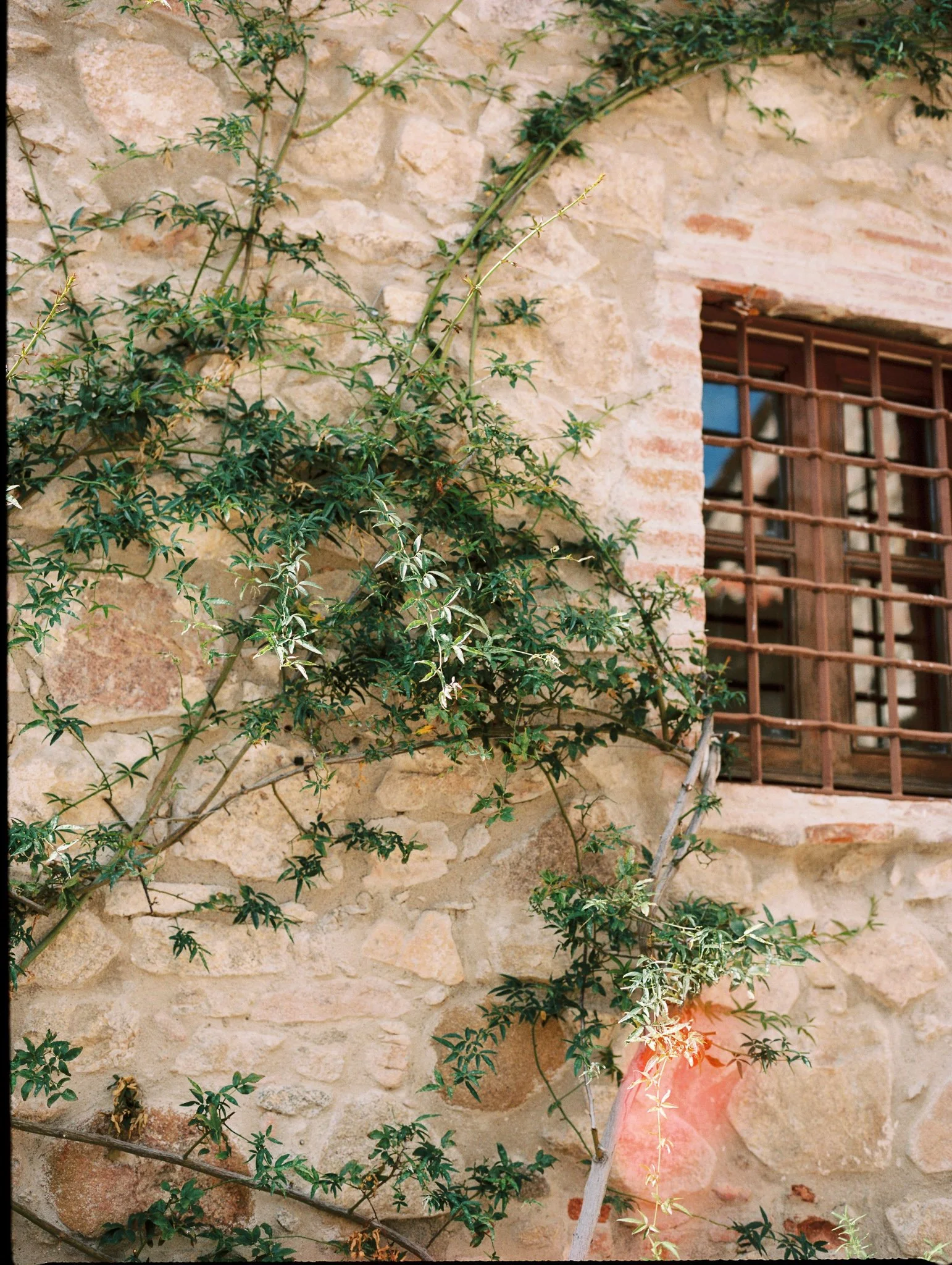 monestir san salvi girona costa brava barcelona film wedding photographer