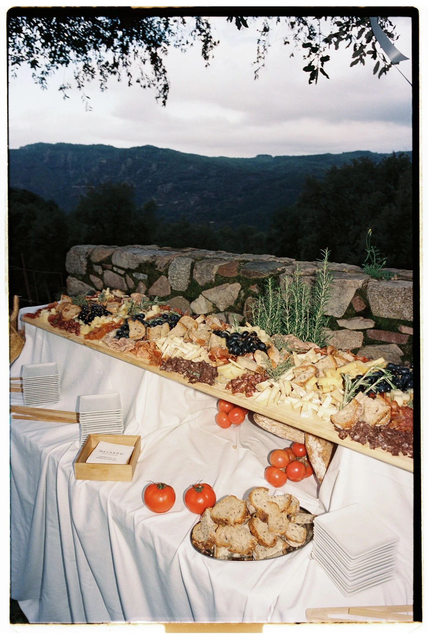 monestir san salvi girona costa brava barcelona film wedding photographer