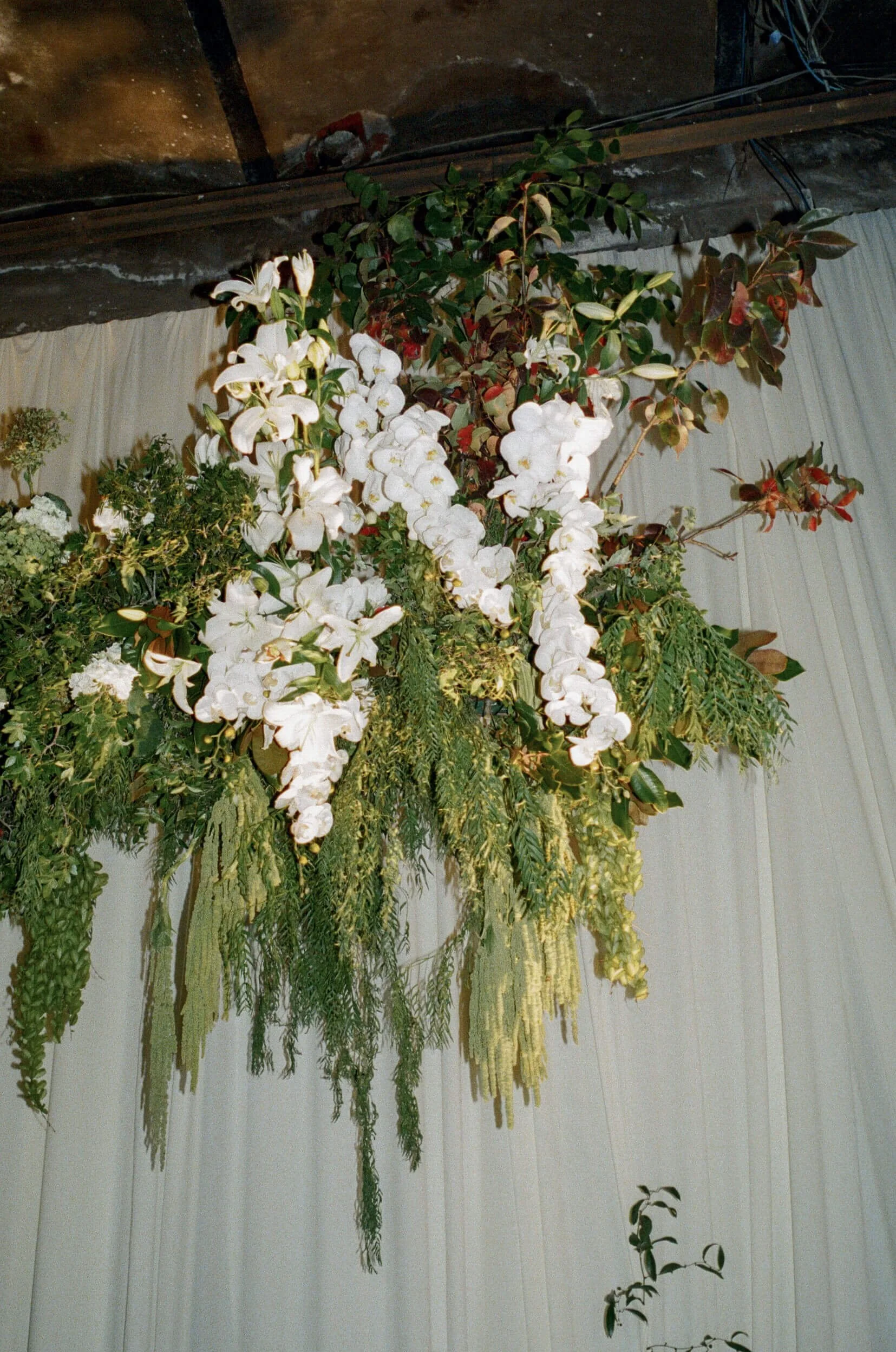 film wedding photographer mexico city proyectos publicos prim cdmx ciudad de mexico