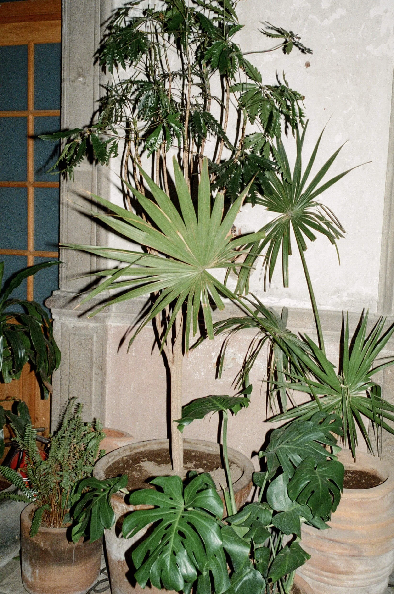 film wedding photographer mexico city proyectos publicos prim cdmx ciudad de mexico