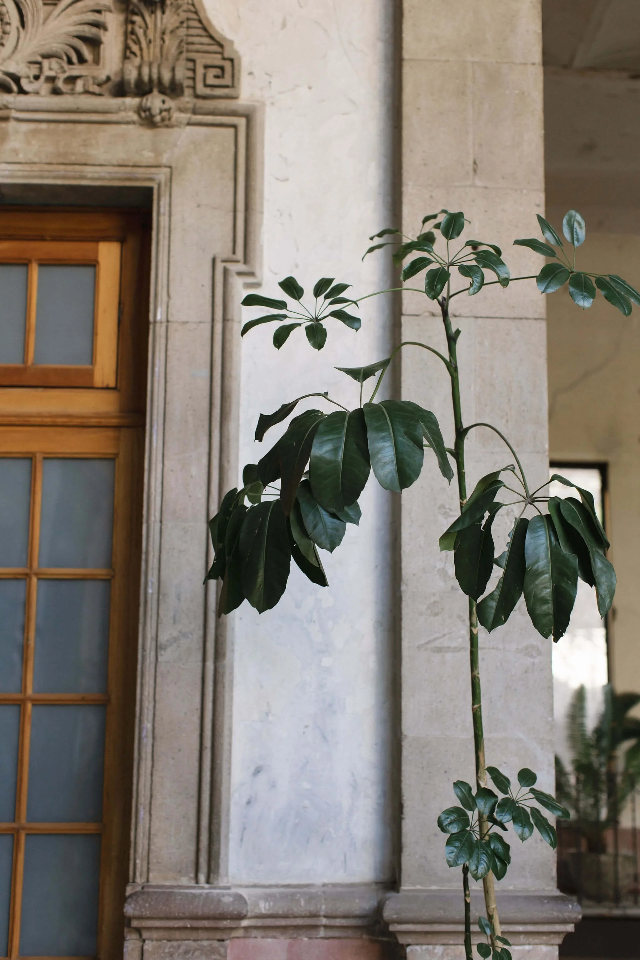 film wedding photographer mexico city proyectos publicos prim cdmx ciudad de mexico