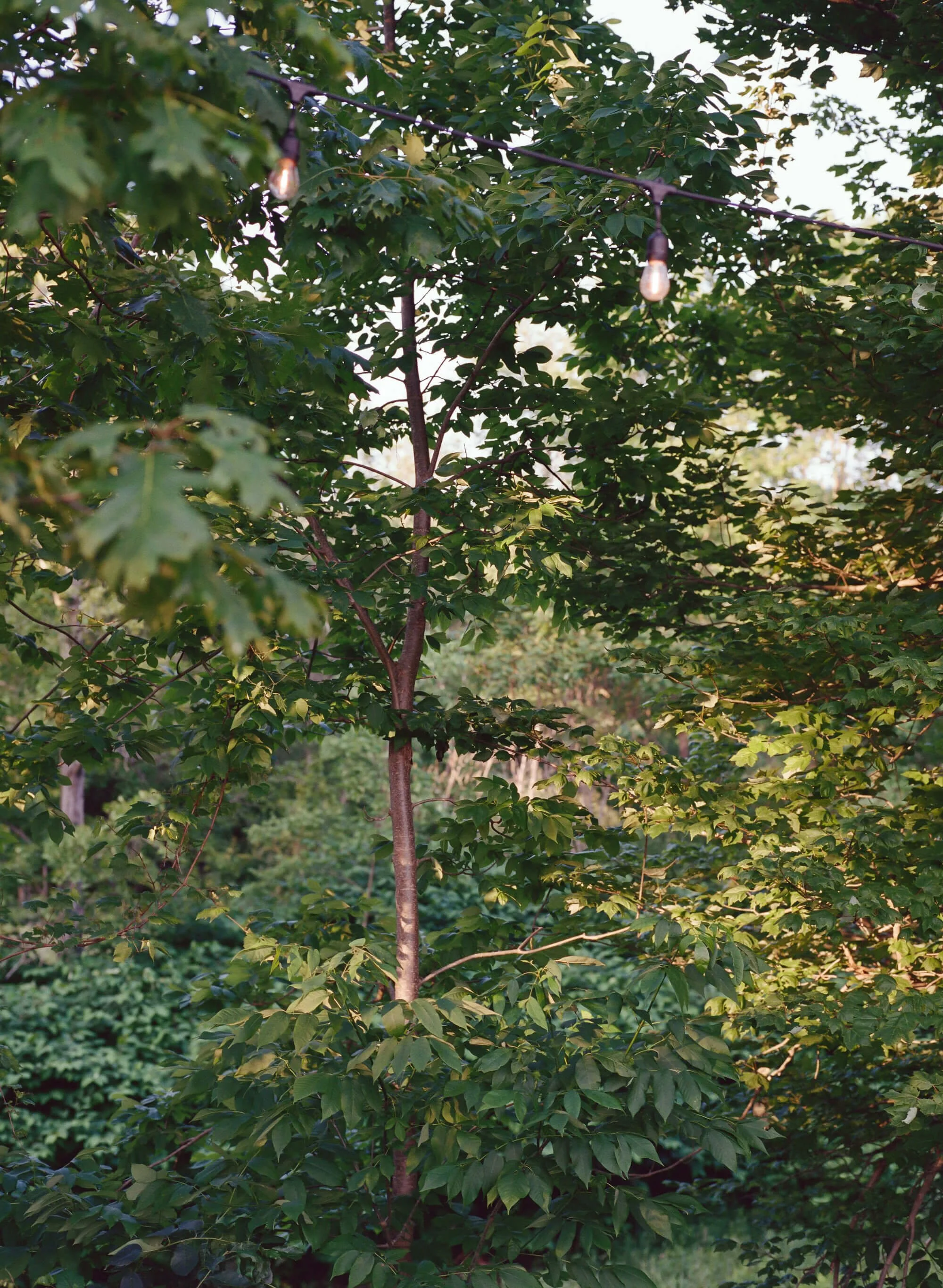 Wylder Hotel Windham Film Wedding Photographer Hudson Valley New York Catskills