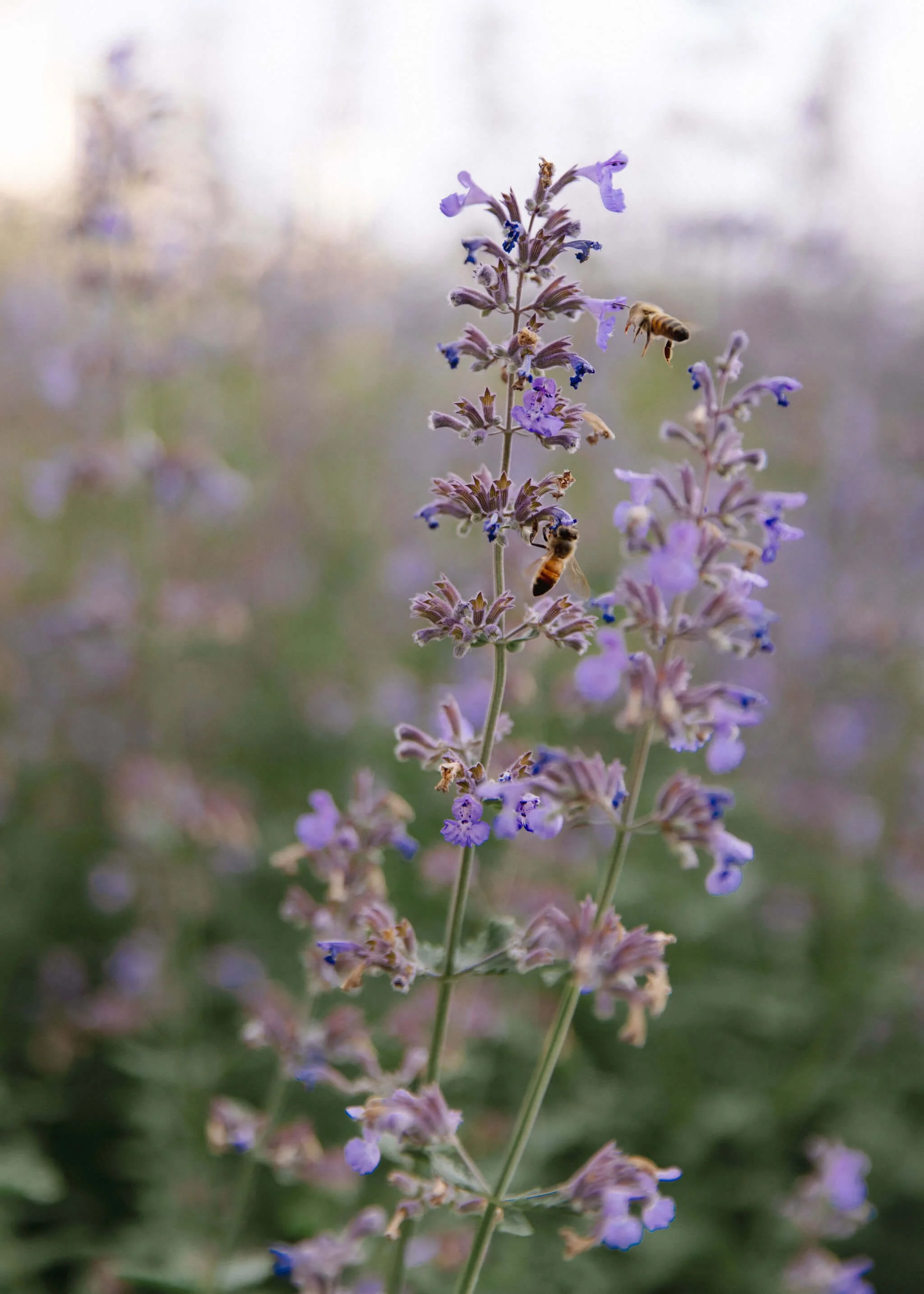 Wylder Hotel Windham Film Wedding Photographer Hudson Valley New York Catskills