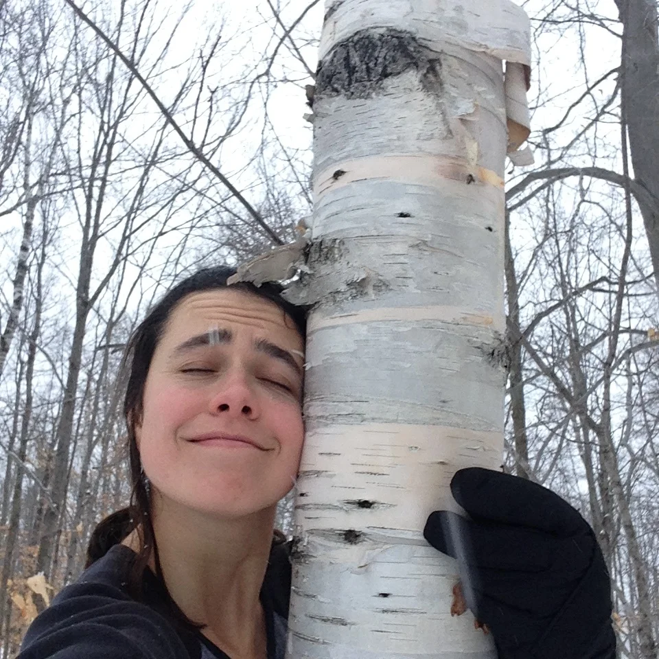 Seeing More than Just the Forest