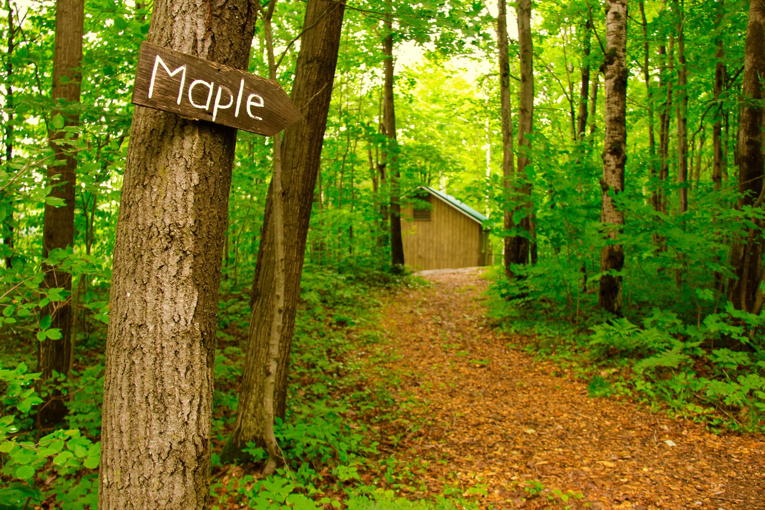 Introducing Backpocket Beacon