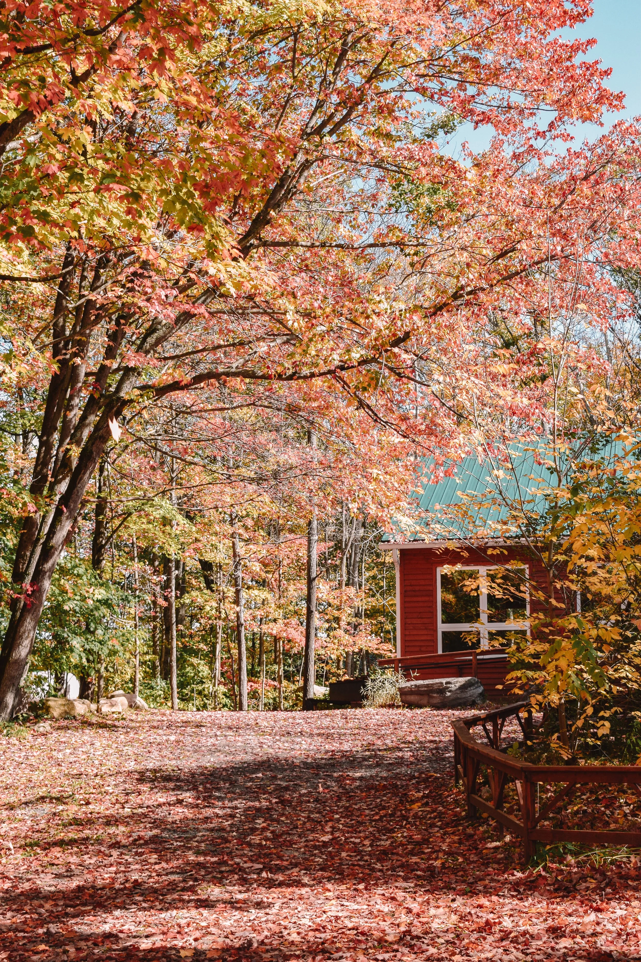 Monk's Musings: For such a Time as this!