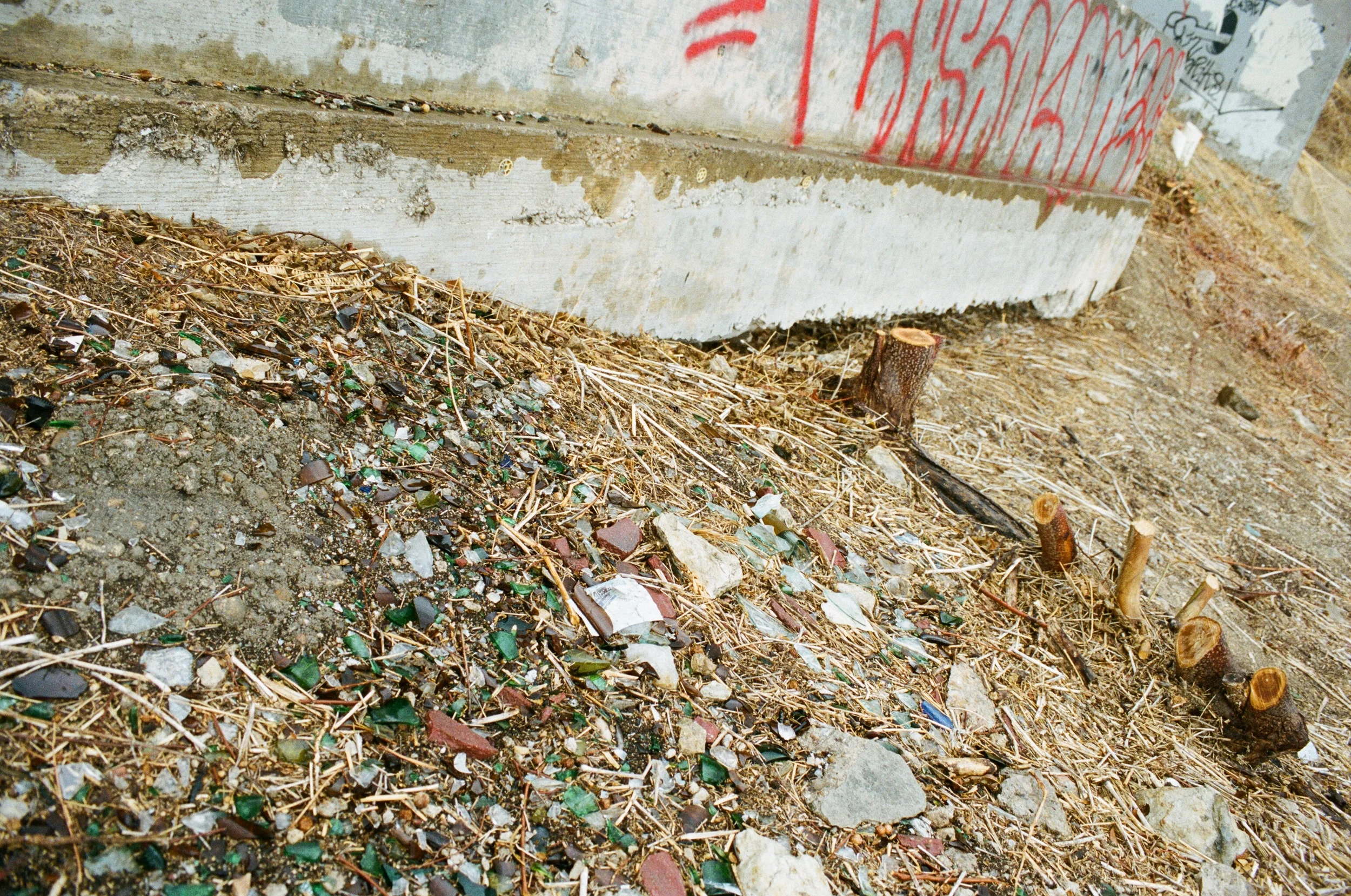  35mm. Austin, TX.&nbsp; 