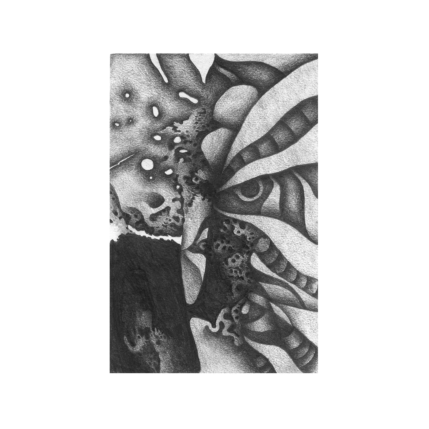 Vibracathedral Orchestra Rec Blast Motorbike LP