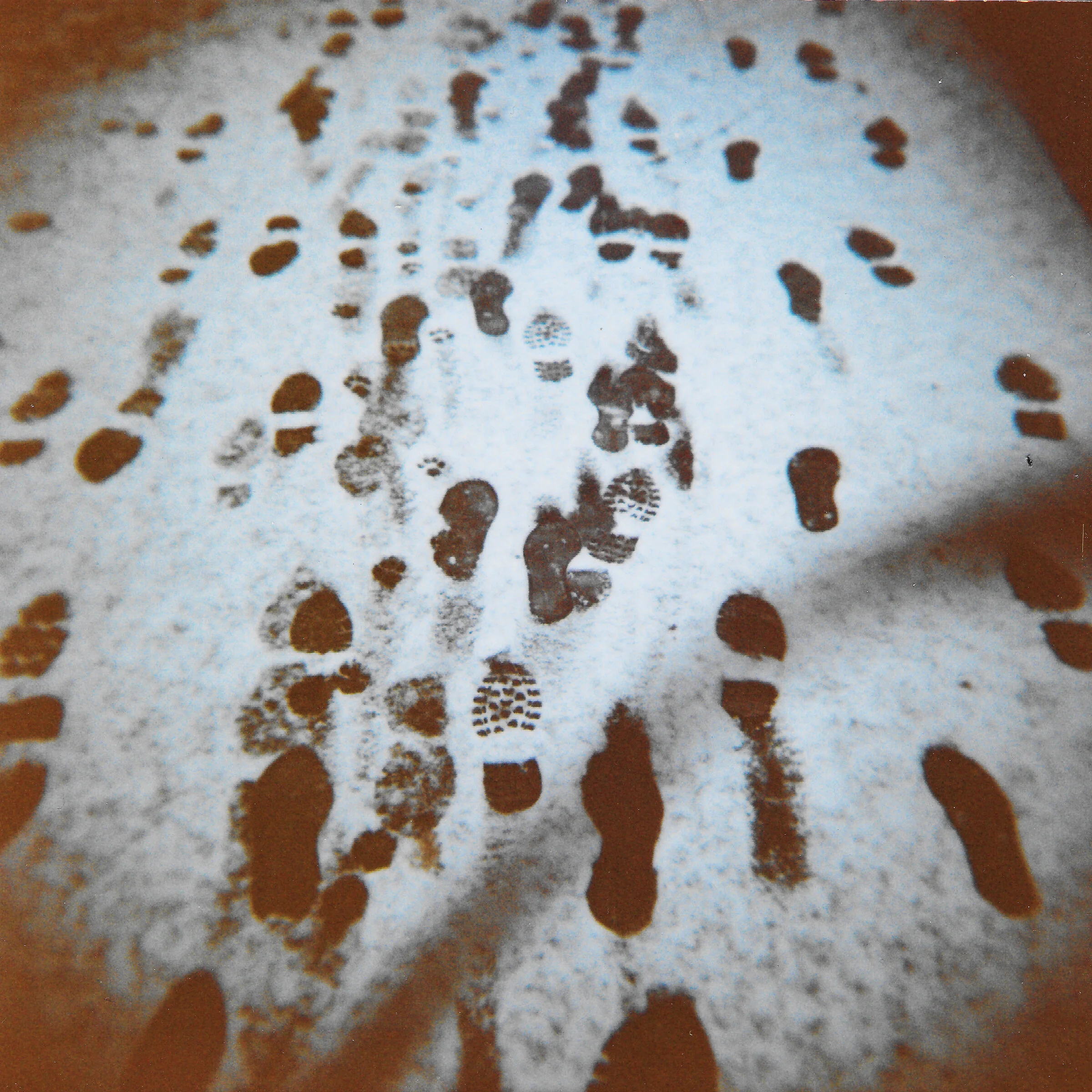 Richard Youngs Ein Klein Nein LP