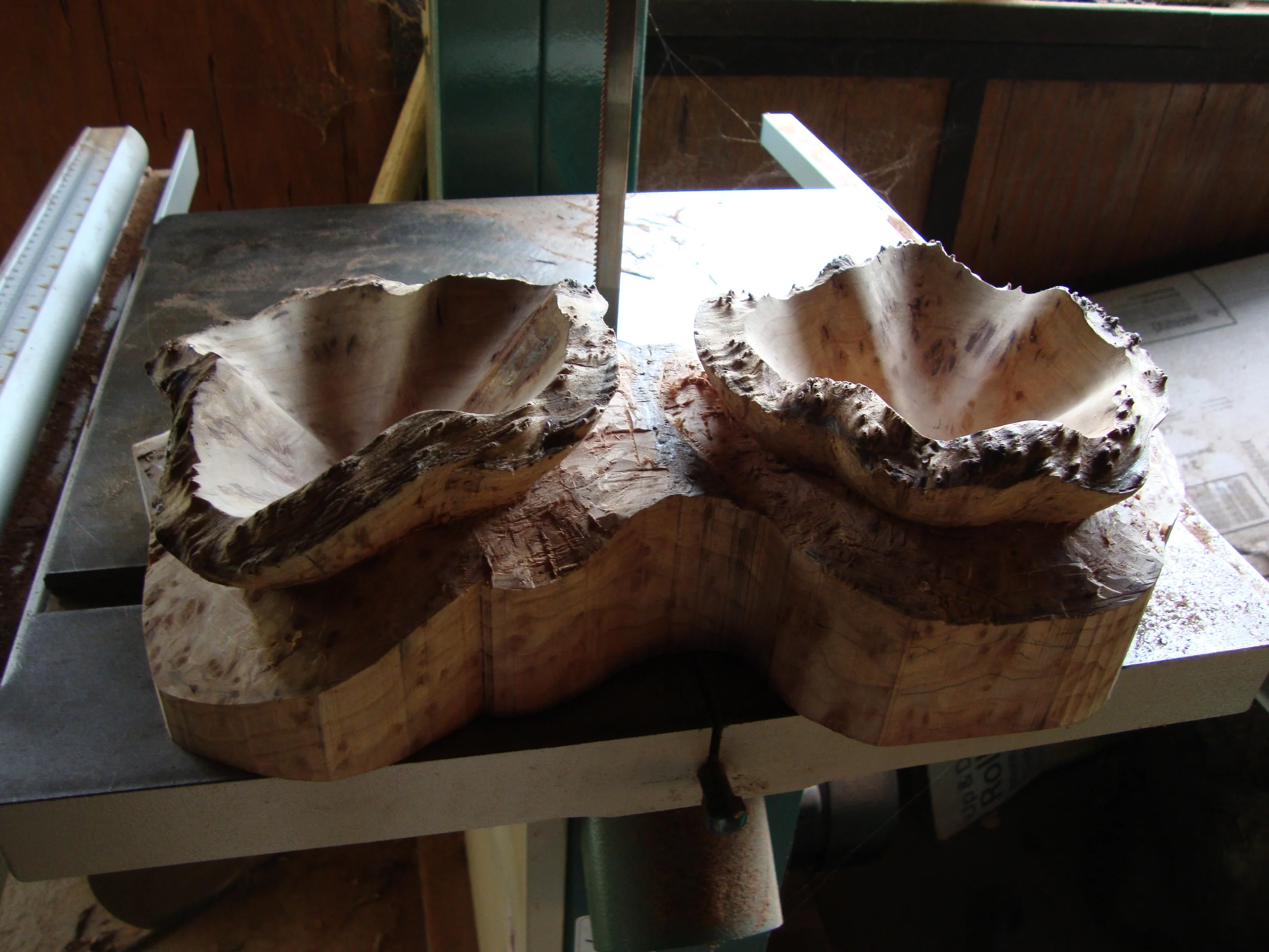 Redwood Burl