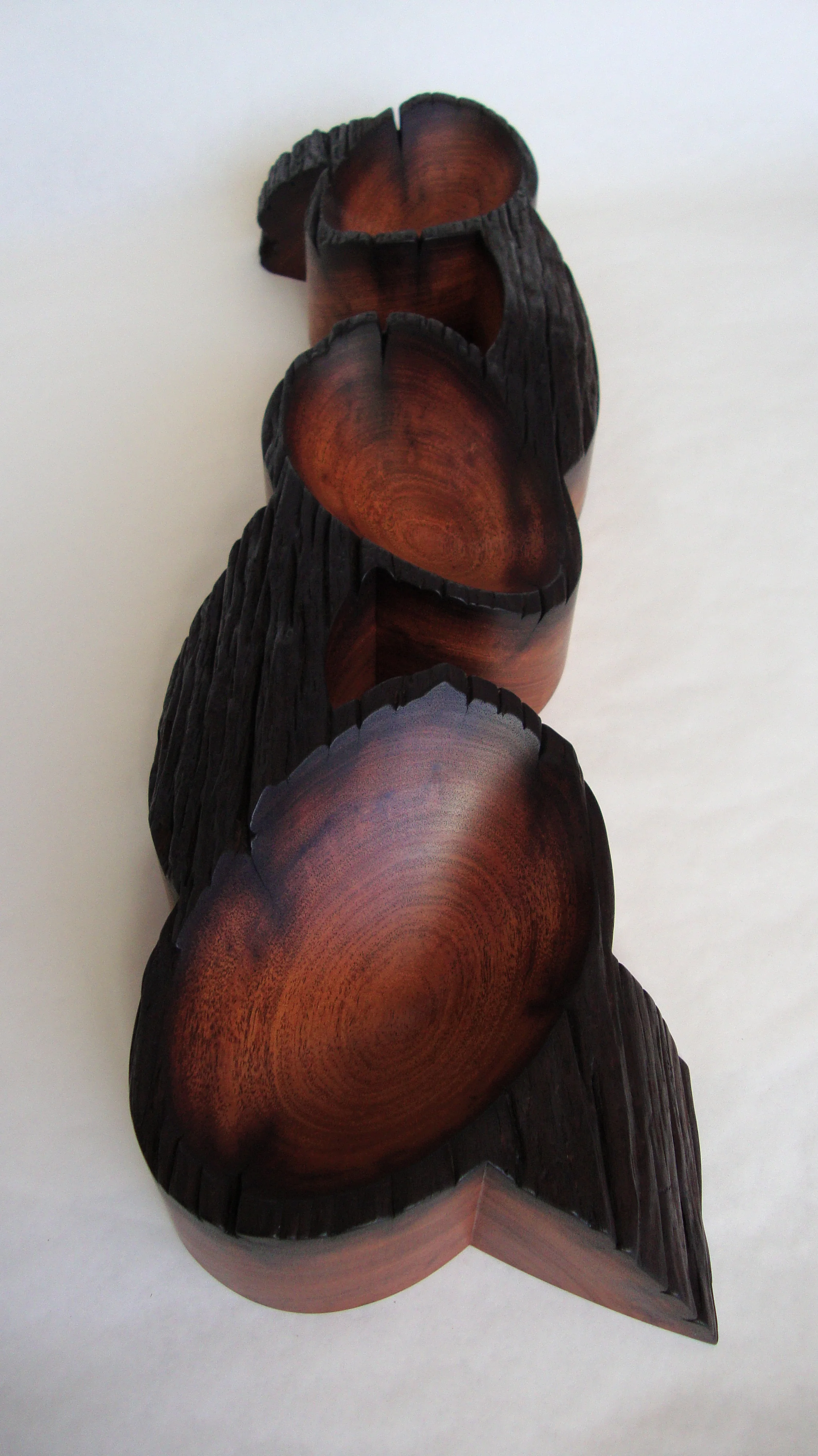 Cuban Mahogany