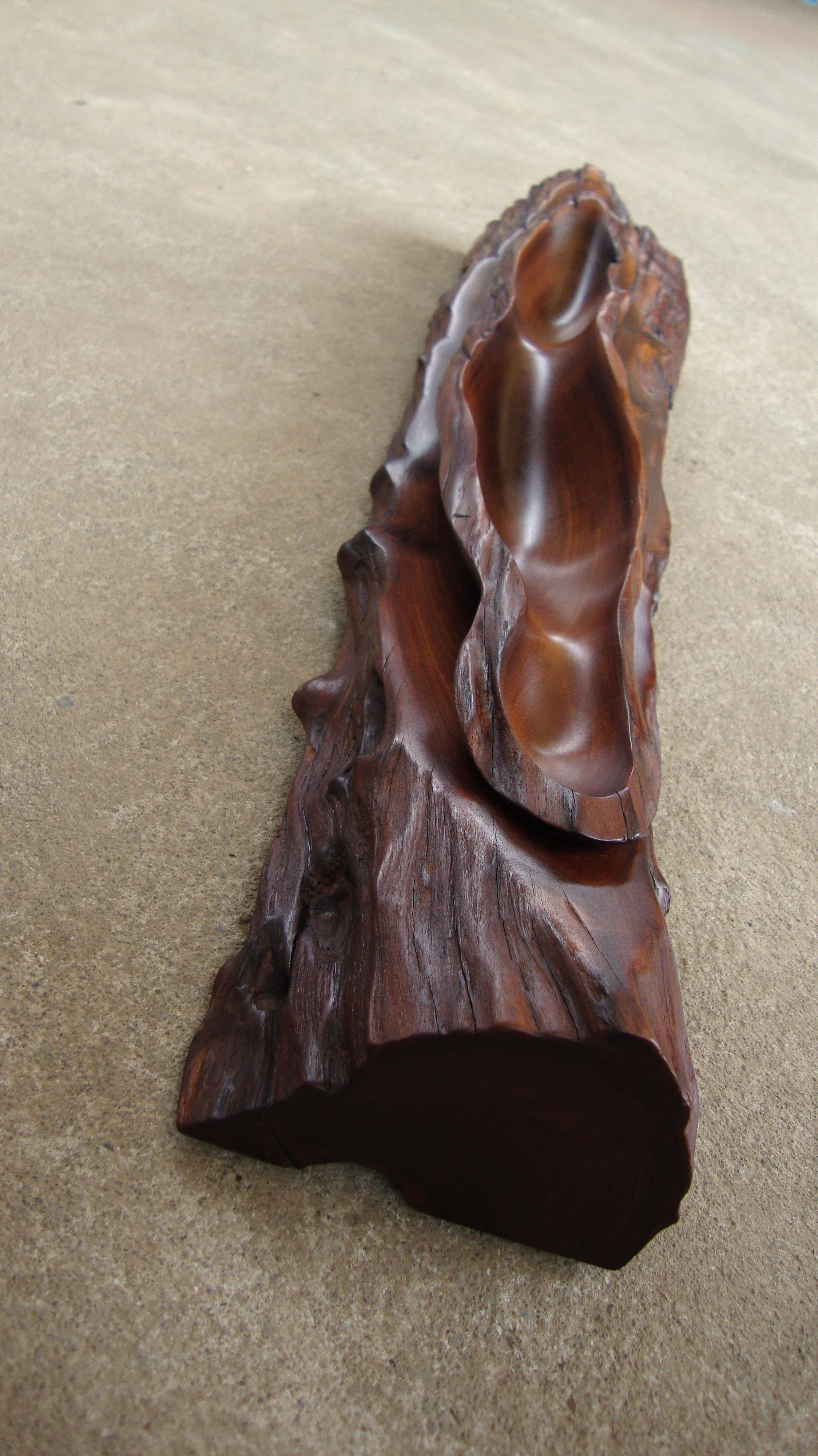 Unknown Dark Wood
