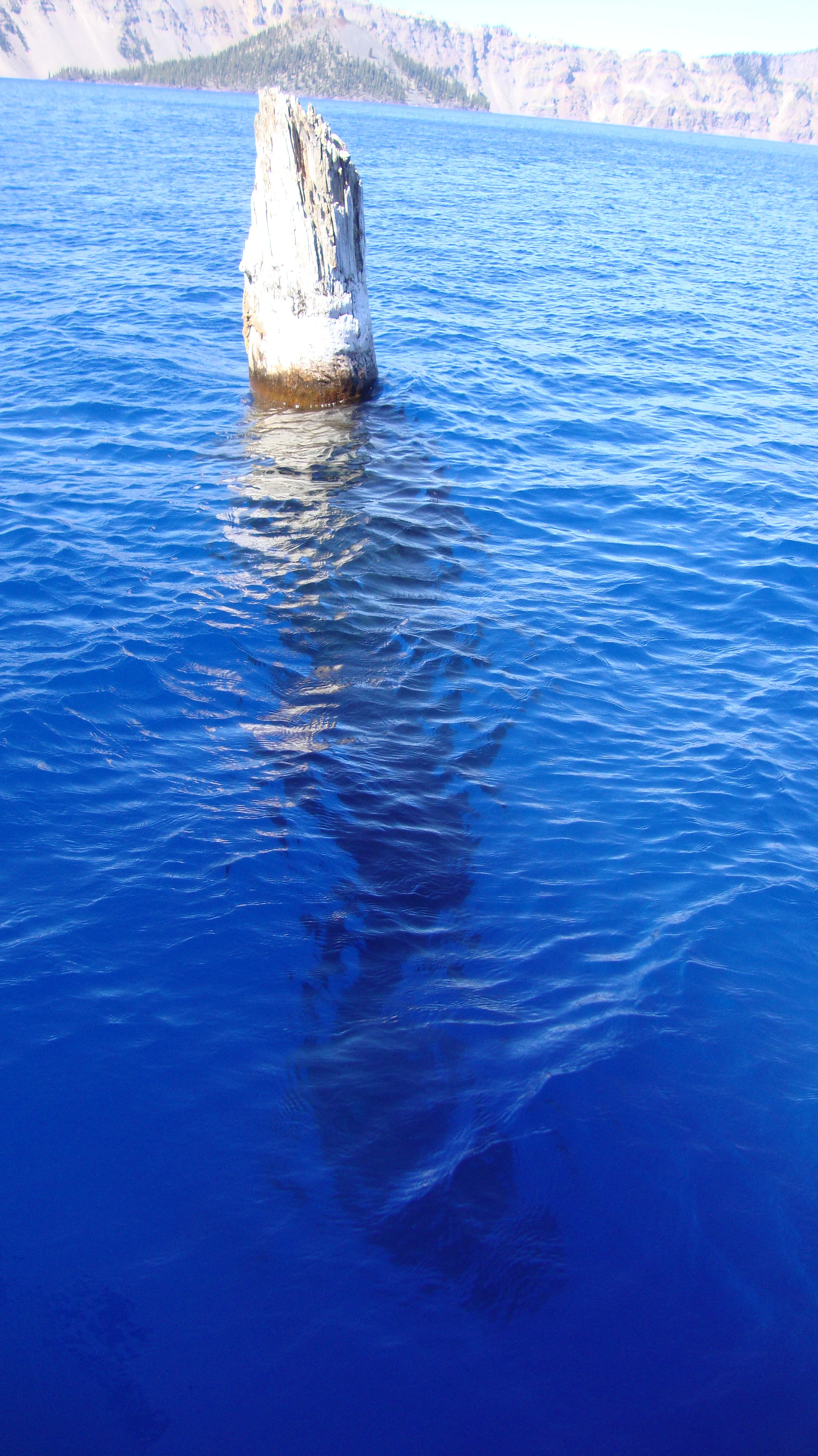 Old Man - Crater Lake