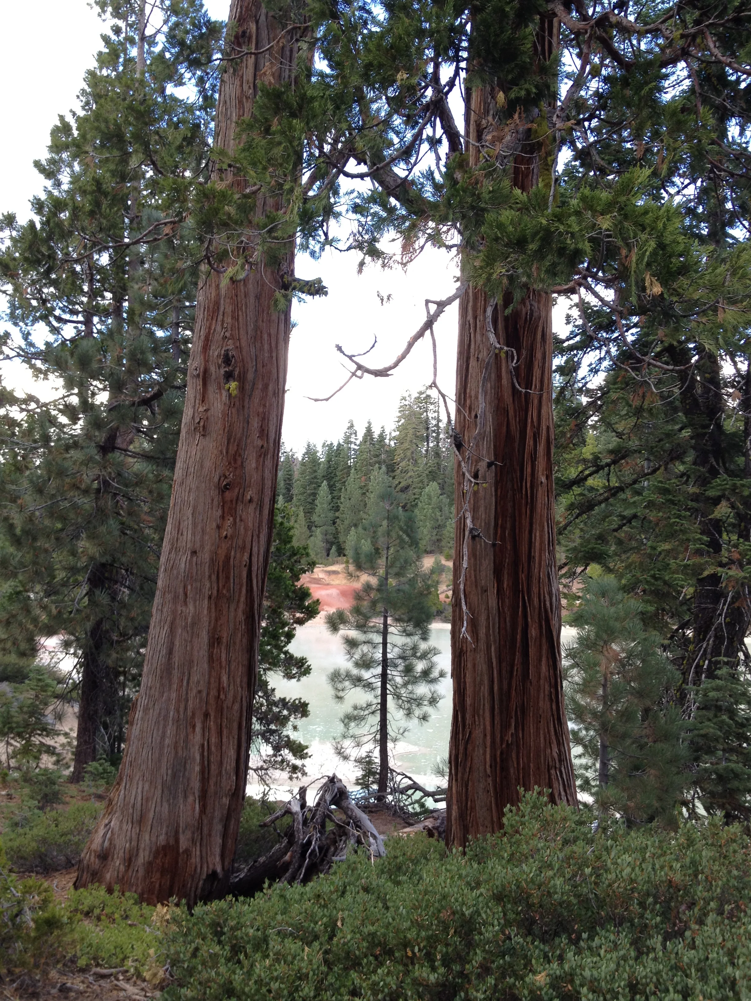 Lassen National Park