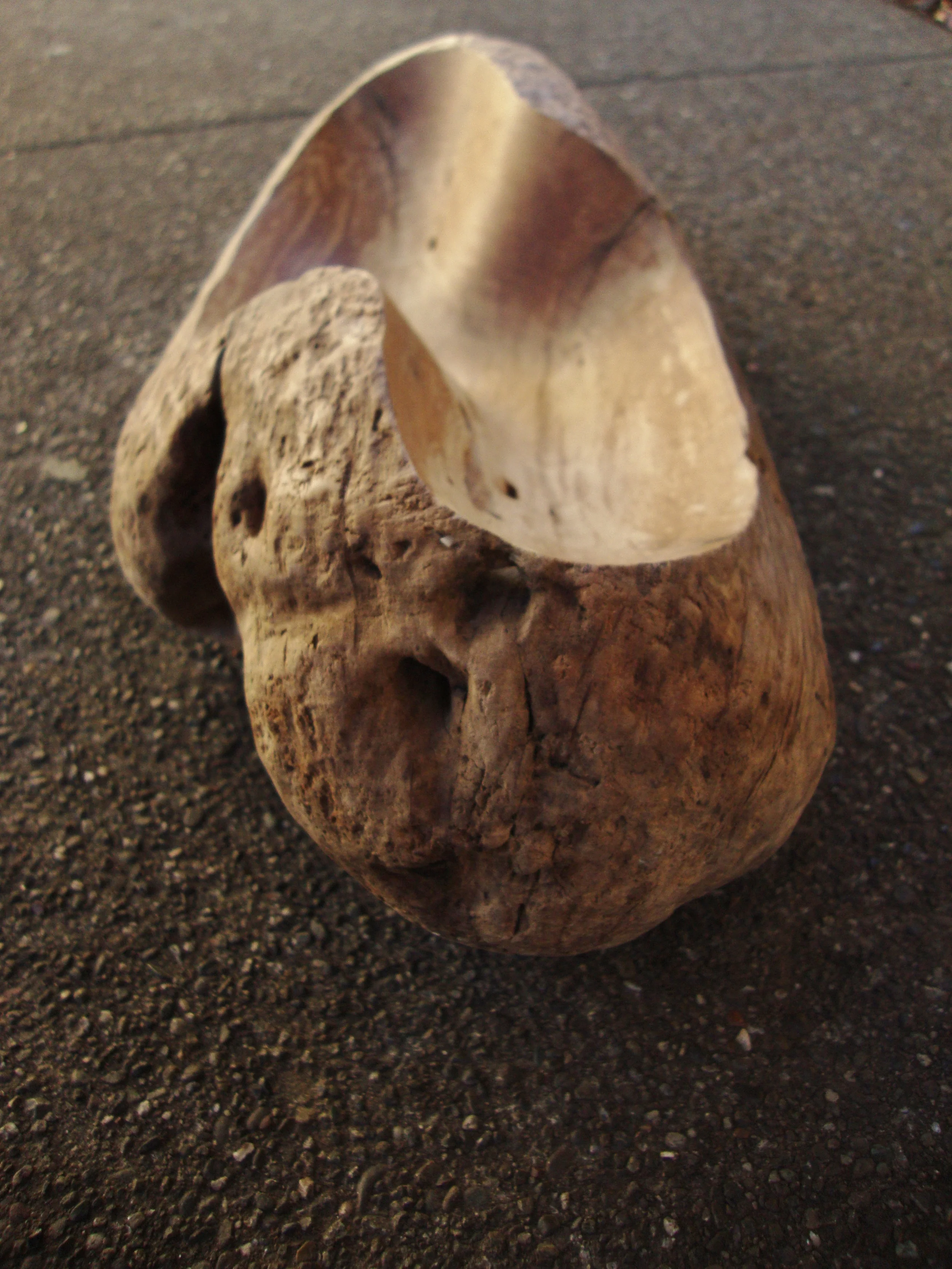 Driftwood