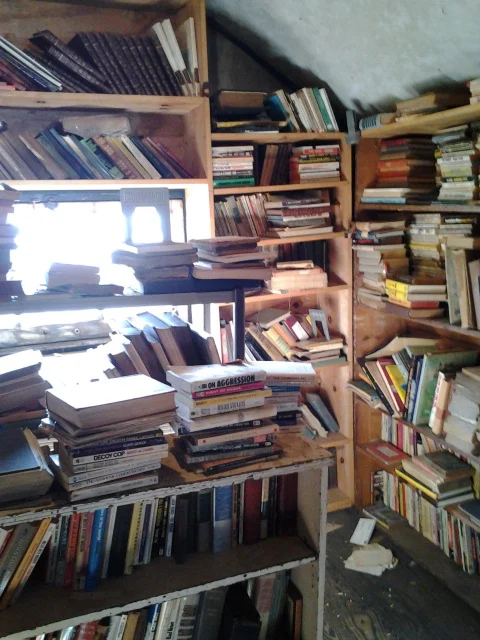 2013-01-07 12.04.50.jpg