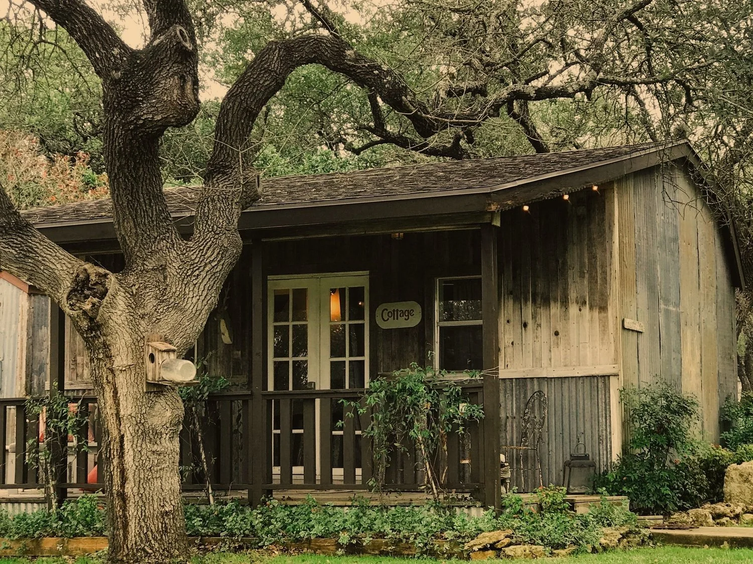 Learn More About Vista West Ranch Wedding Venue — Vista West Ranch