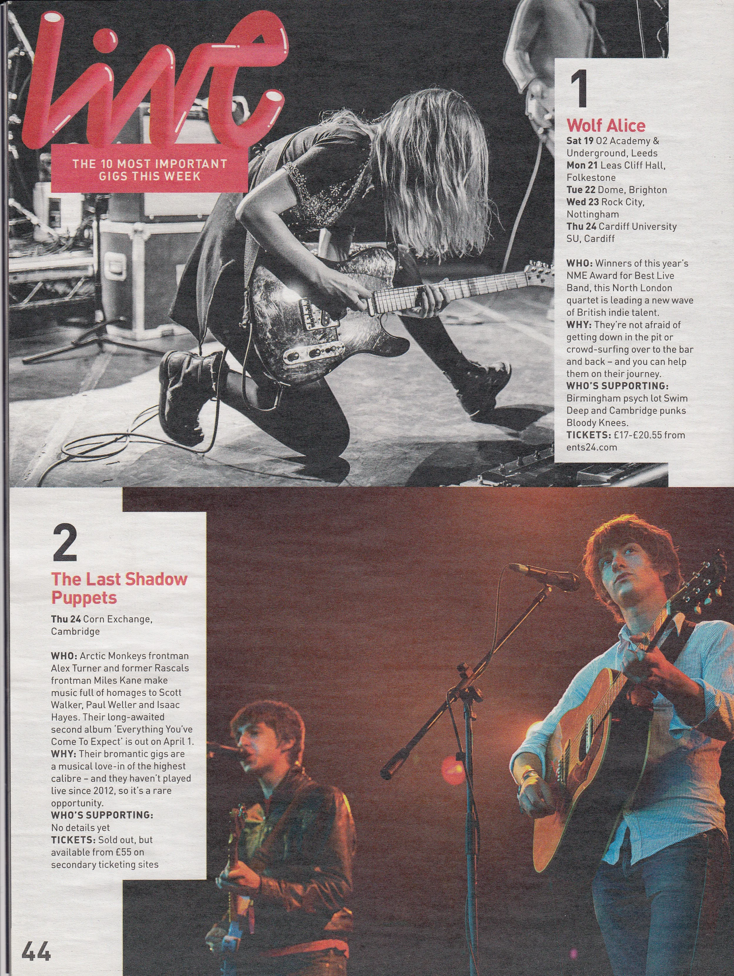 Wolf Alice / NME
