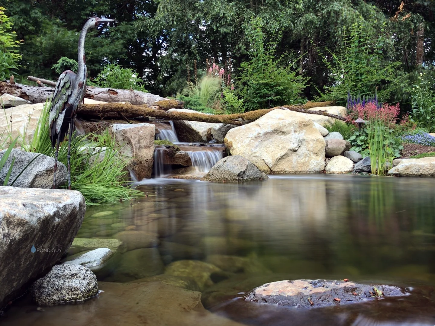 Gallery — Mark The Pond Guy