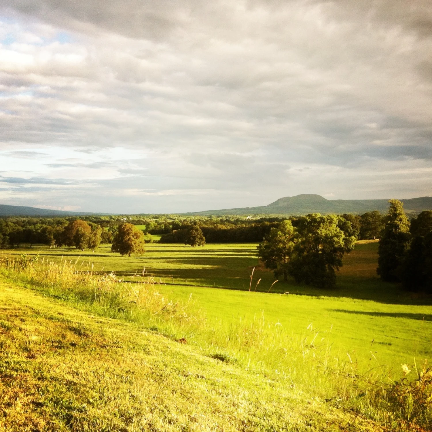 I absolutely love having a really technical job, but being based in the countryside. The two things keep me balanced and I feel lucky that I get to move between the two extremes easily