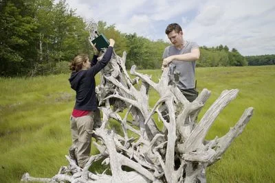 Scientitsts Are Recording The Sound Of The Whole Planet