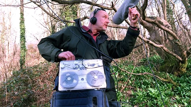 Why Music? Sounds of Nature