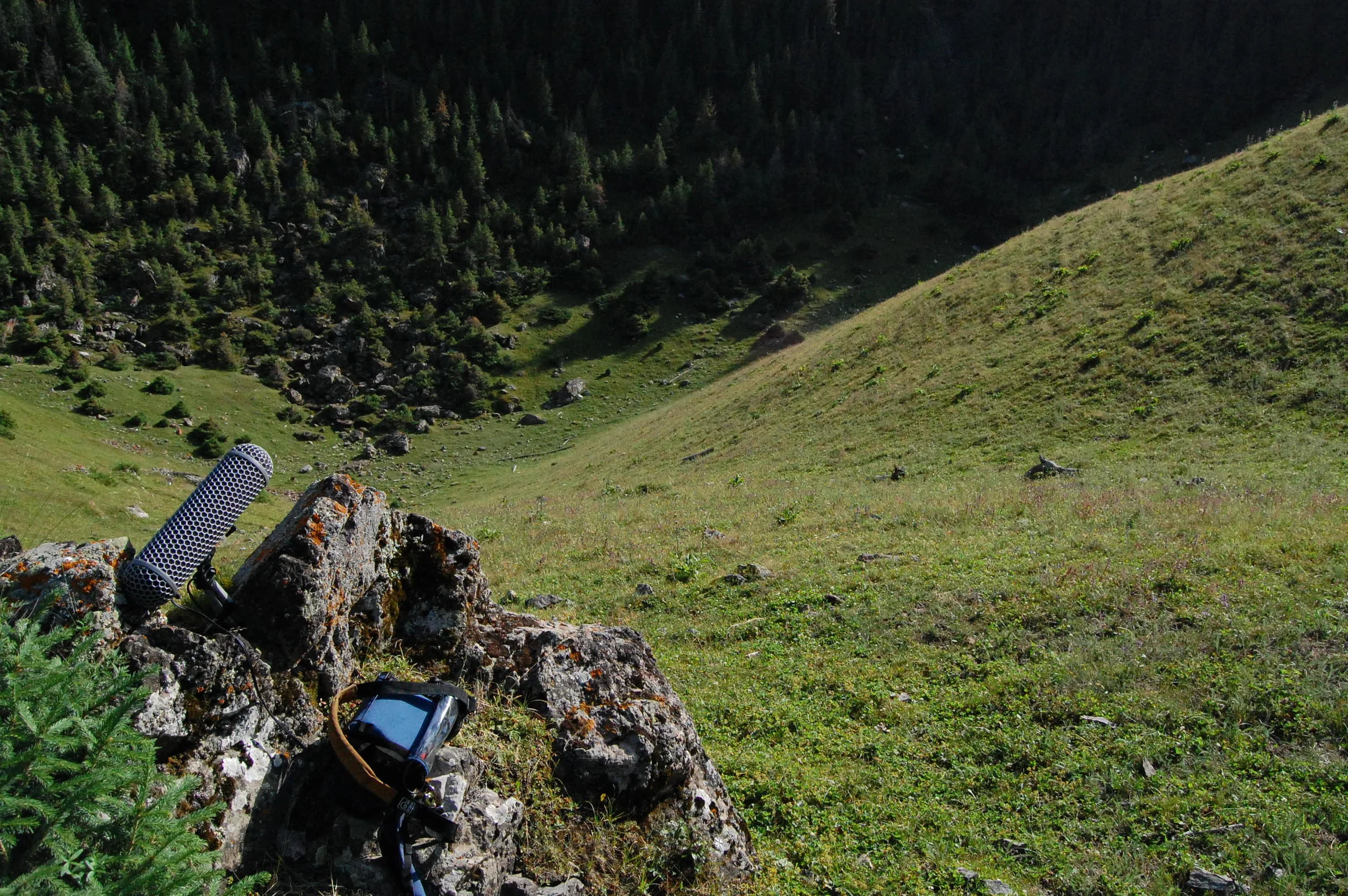 Sound Ark Studios Cover