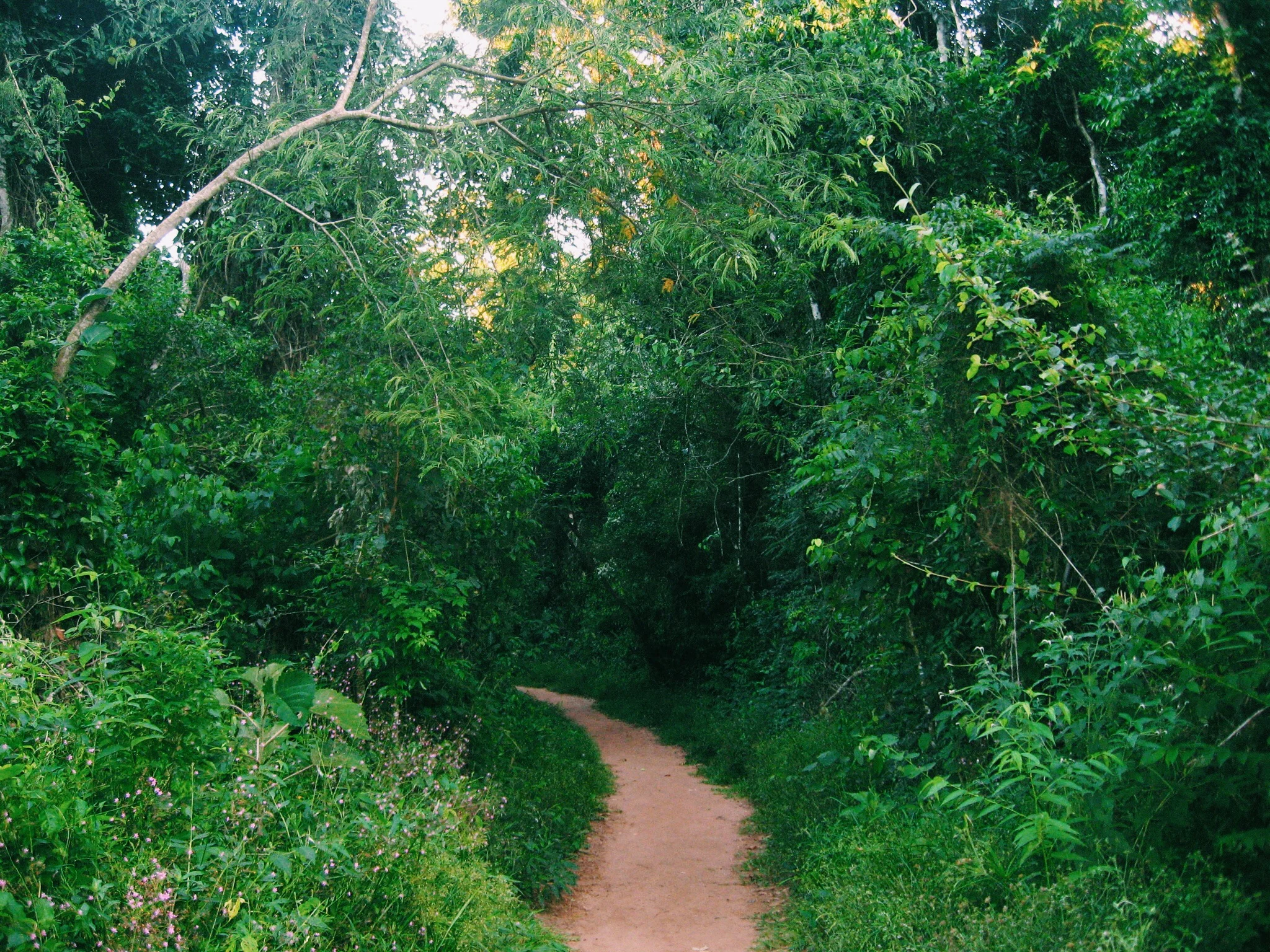 Sound Postcard 06 // Iguazú