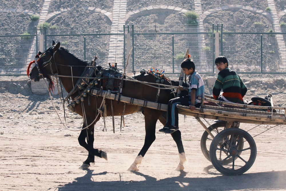 Kids riding horse and cart. © Sound Ark 2011