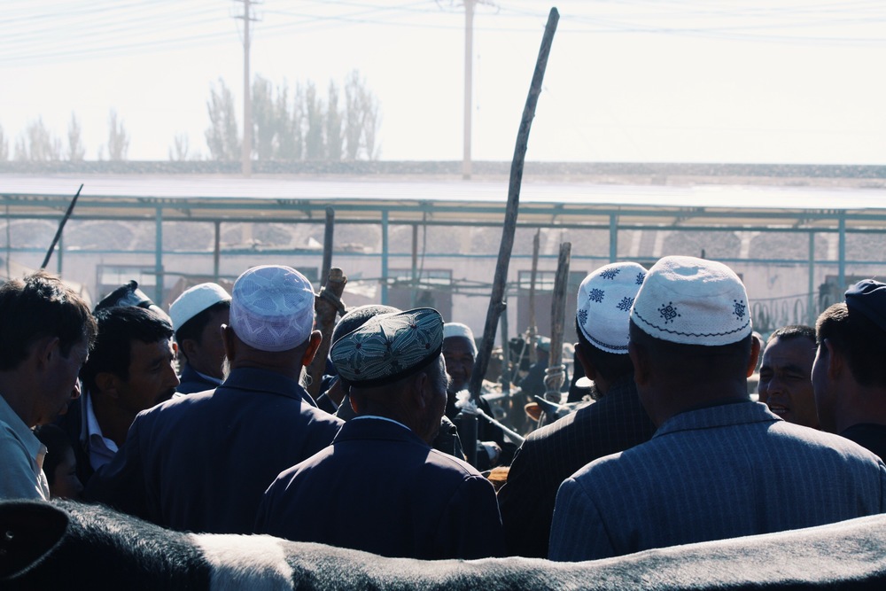 Inspecting cattle and negotiating prices. © Sound Ark 2011