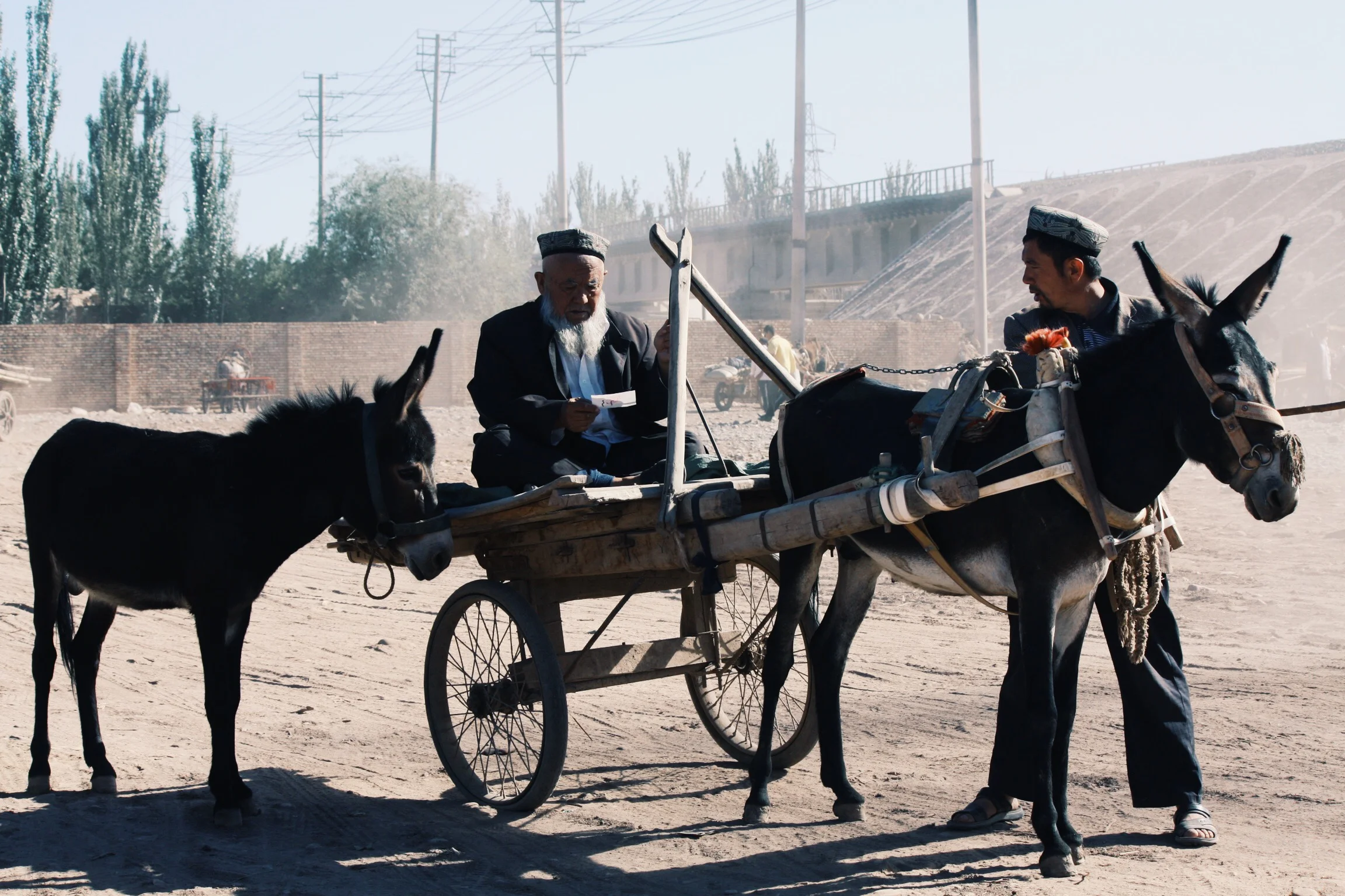Sound Postcard 08 // Kashgar Livestock Market
