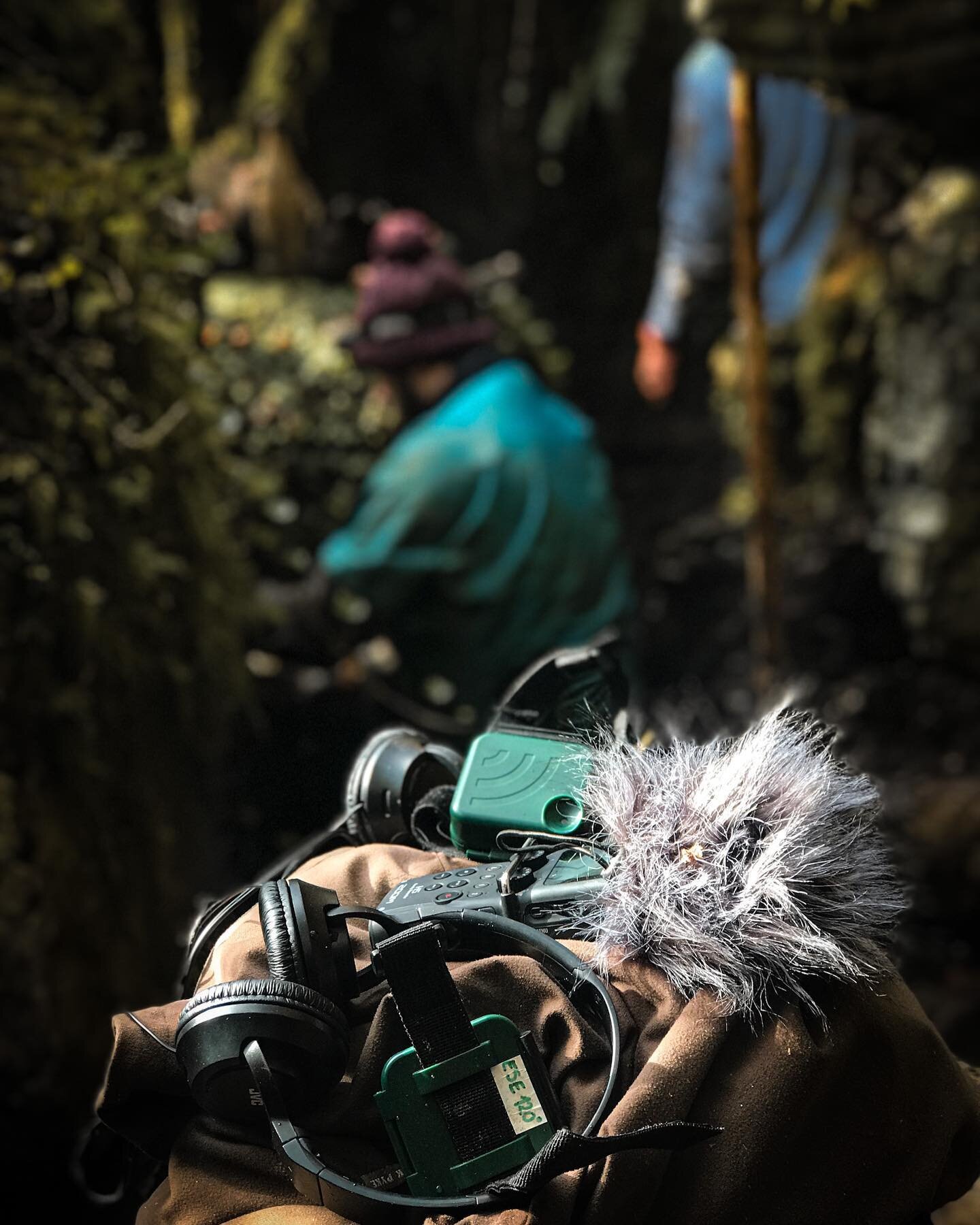 Recording sounds with speleologists from @cavingireland whilst they clear the entrance of Polnagossan Cave in County Cavan. Strata upon strata of accumulated rubbish, dumped over the years.

Important work when you think that the water we drink in th