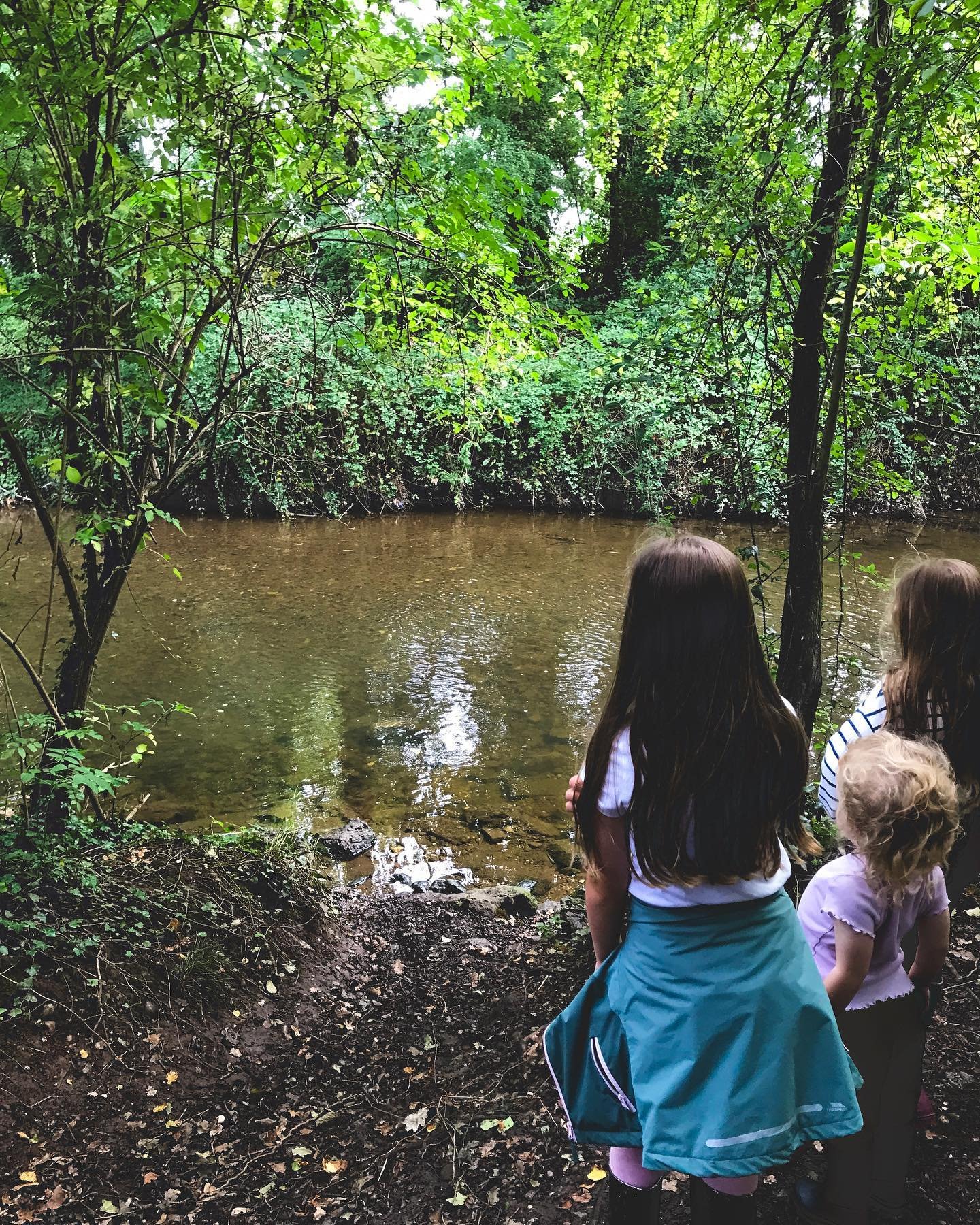 Surveying our local river for the @theriverstrust #bigriverwatch #thebigriverwatch #worldriversday